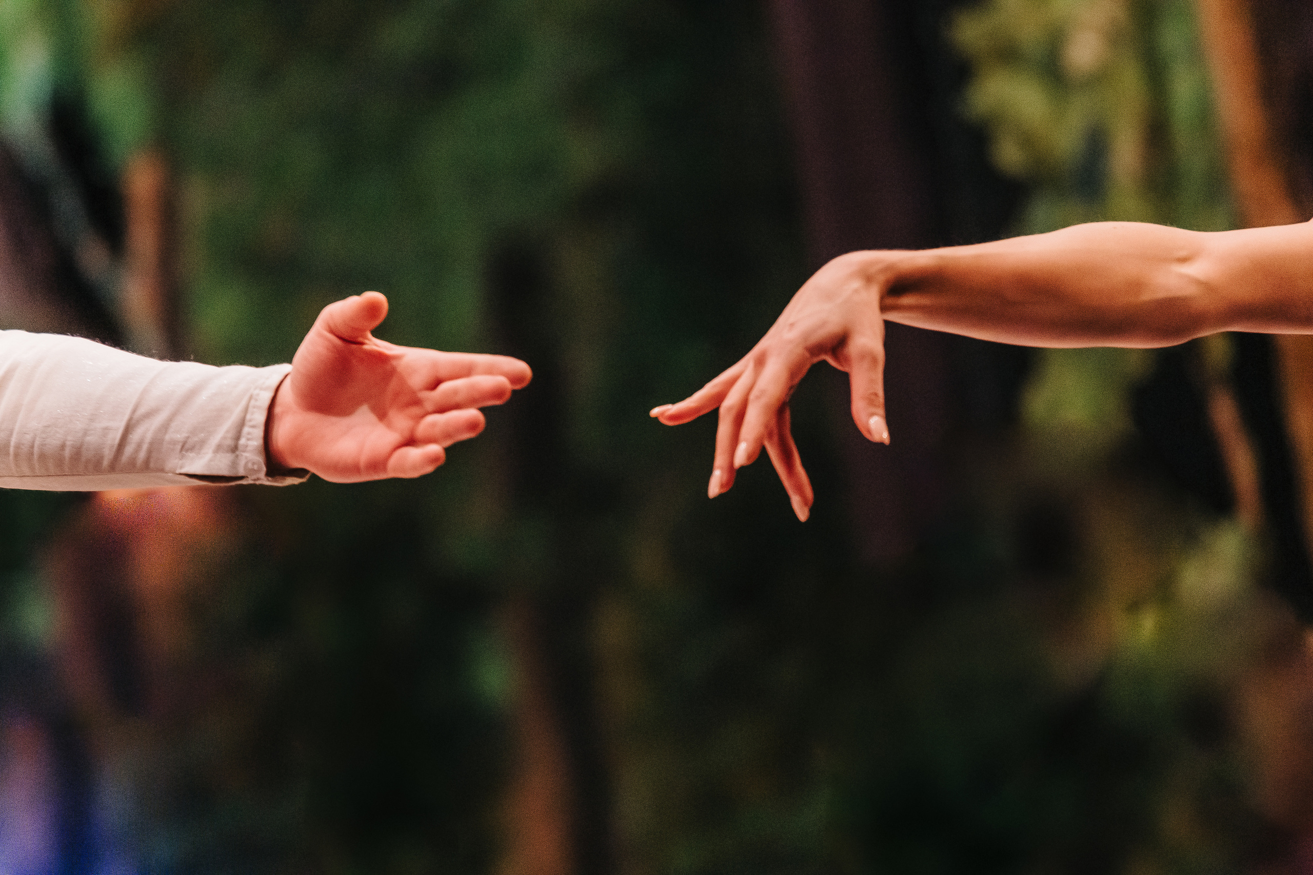 «Лебединое озеро». Фото и видео контент за одну съемку — Веретенников Егор