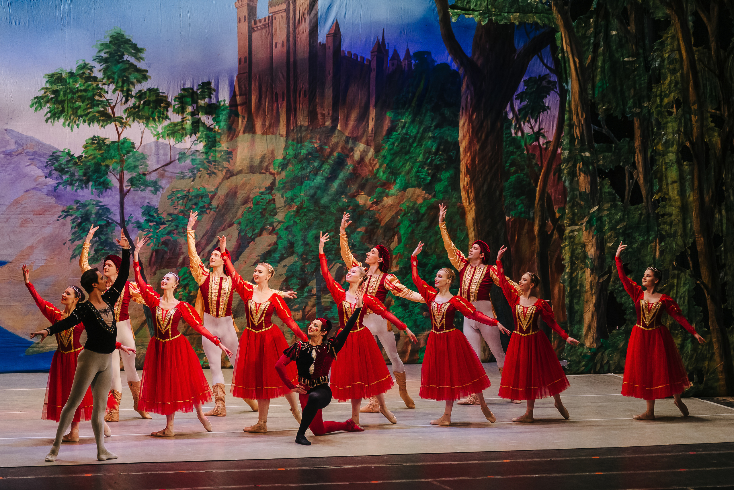 «Лебединое озеро». Фото и видео контент за одну съемку — Веретенников Егор