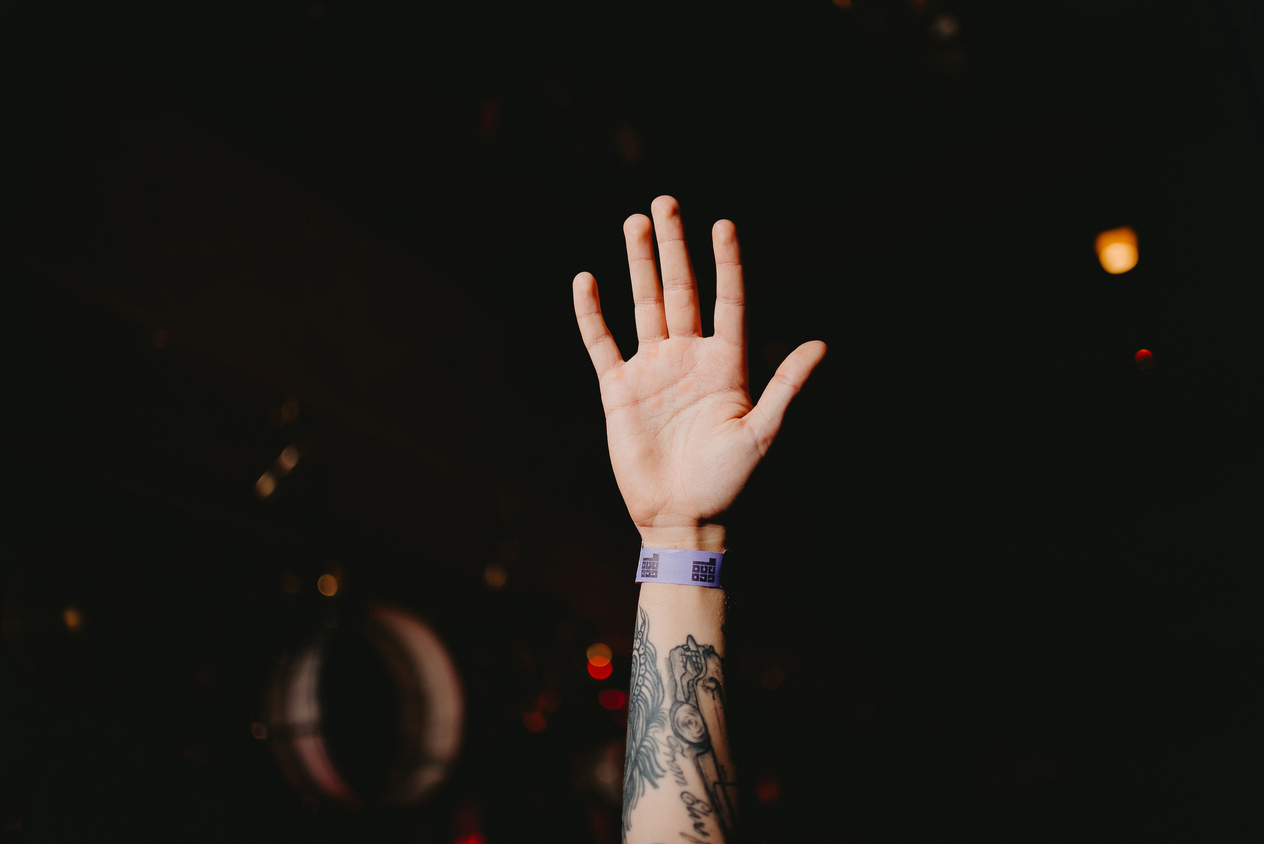 Birds are coming. Фото и видео контент за одну съемку — Веретенников Егор