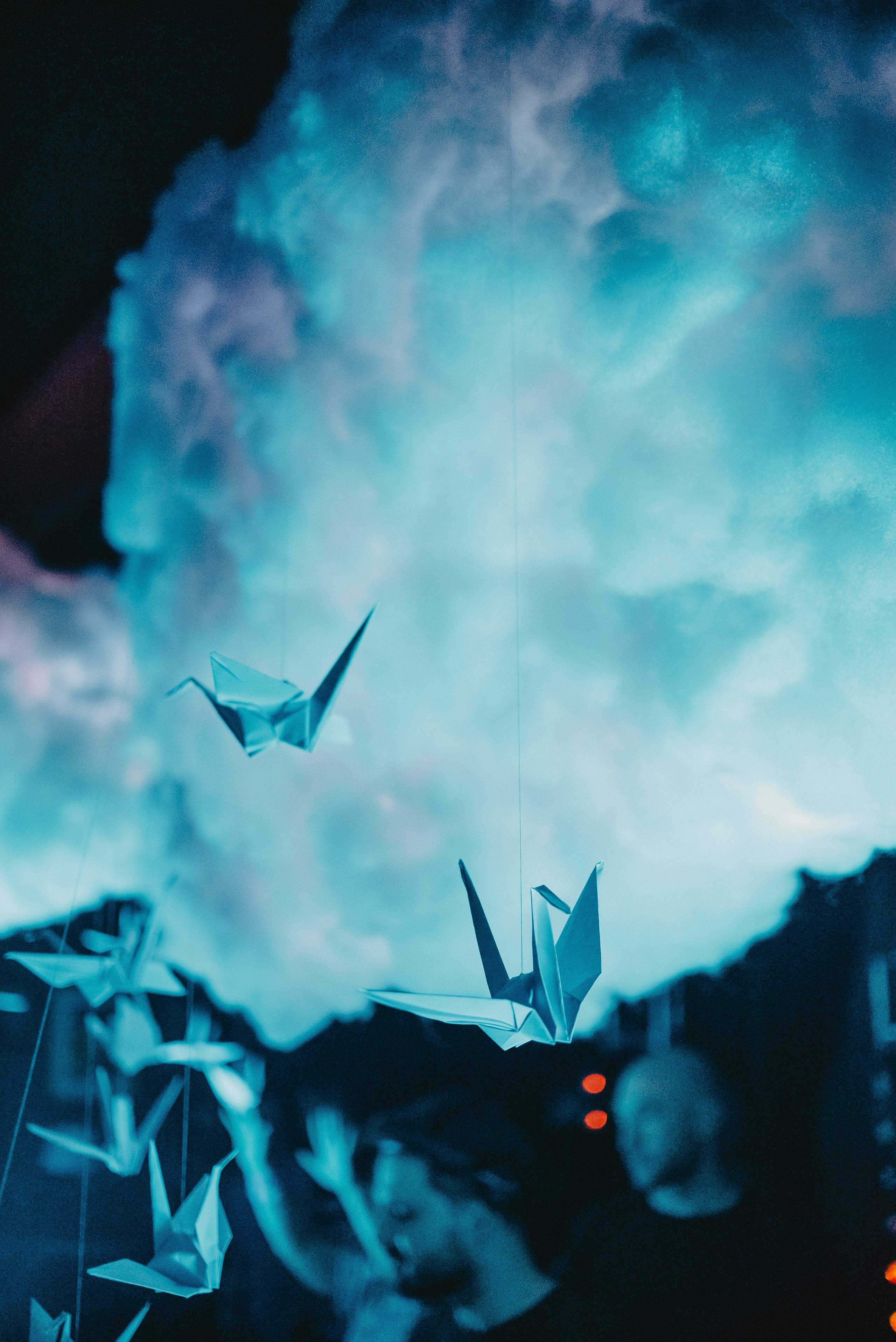 Birds are coming. Фото и видео контент за одну съемку — Веретенников Егор