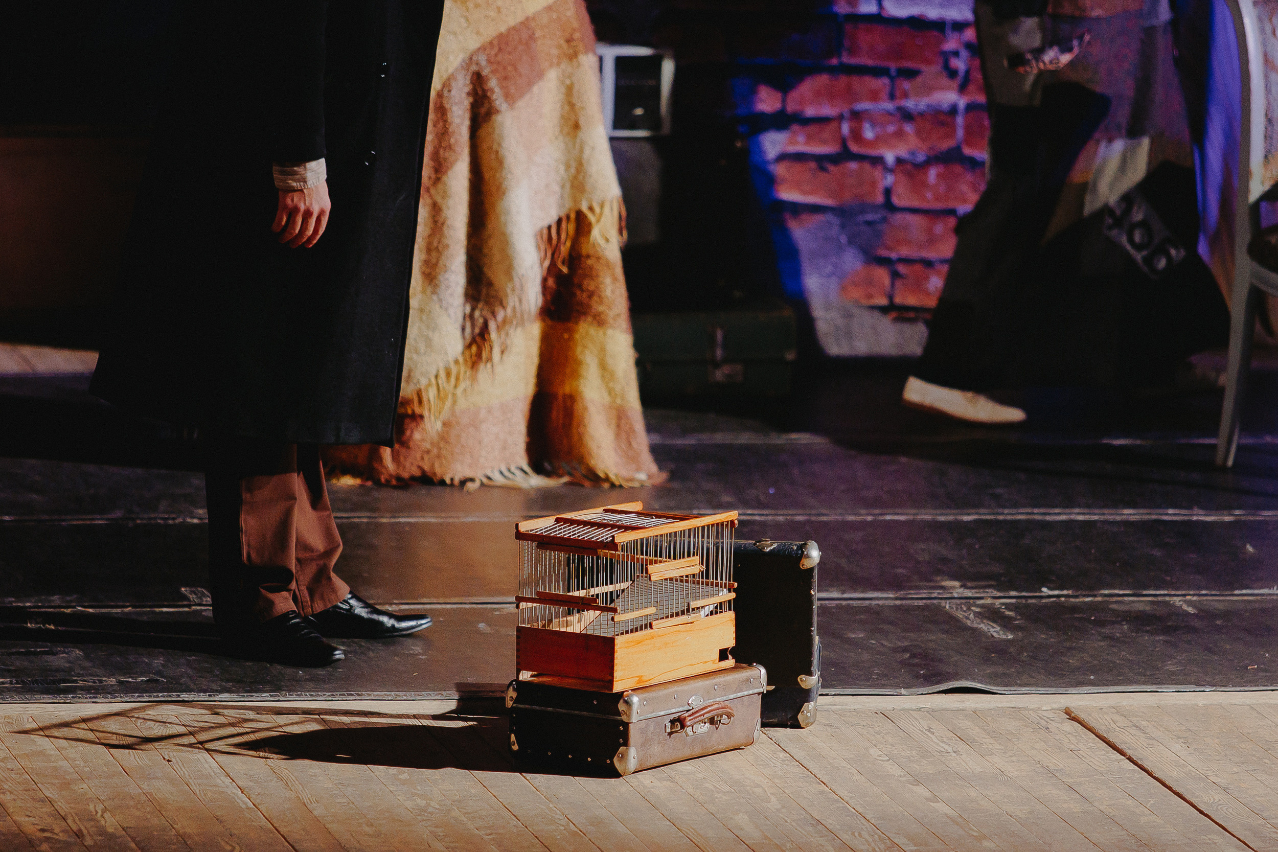 «Дорогая Памела». Фото и видео контент за одну съемку — Веретенников Егор