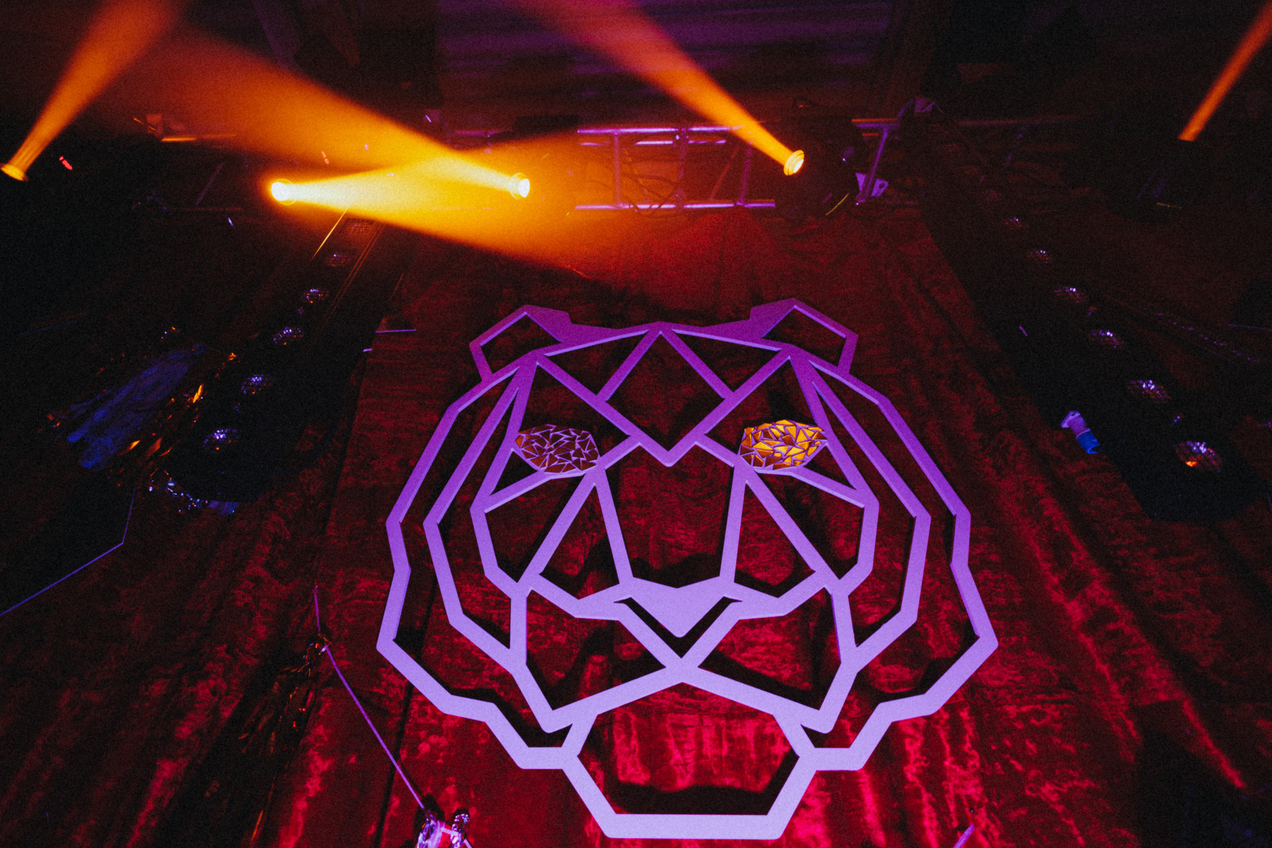 New Year Circus. Фото и видео контент за одну съемку — Веретенников Егор