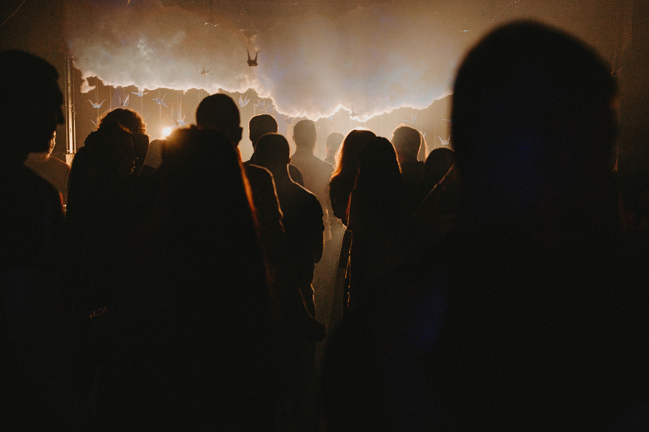 Birds are coming. Фото и видео контент за одну съемку — Веретенников Егор