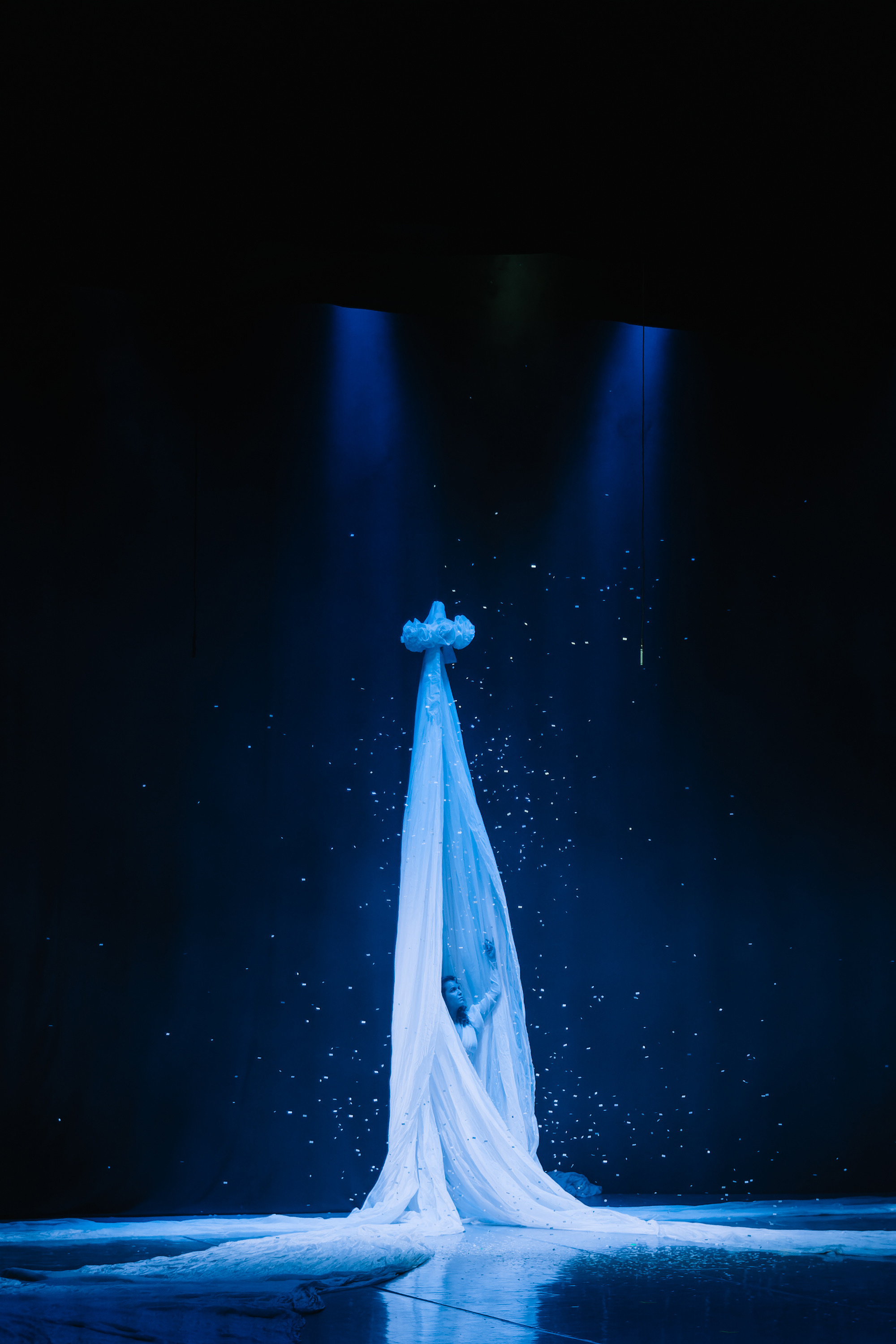 «Лев зимой». Фото и видео контент за одну съемку — Веретенников Егор