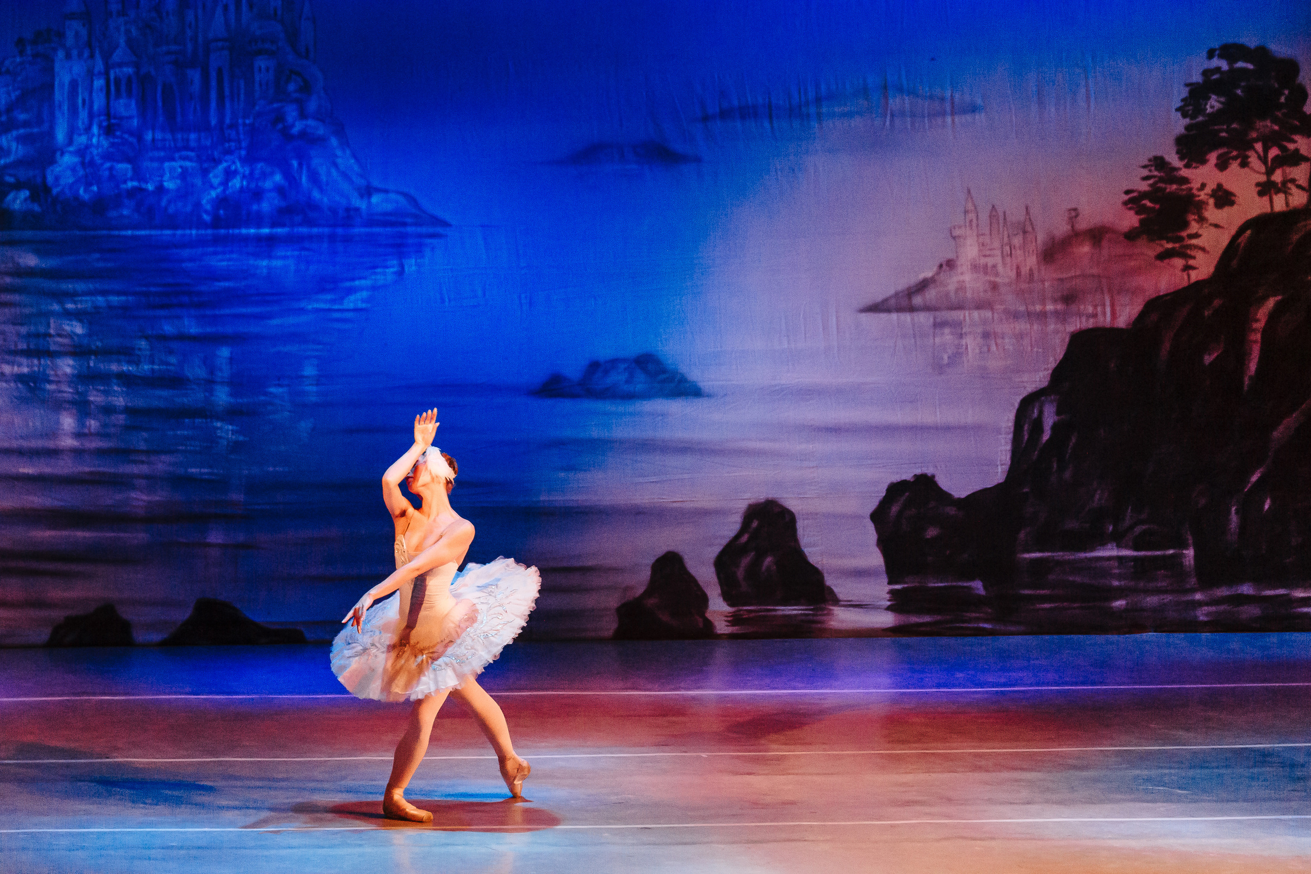 «Лебединое озеро». Фото и видео контент за одну съемку — Веретенников Егор