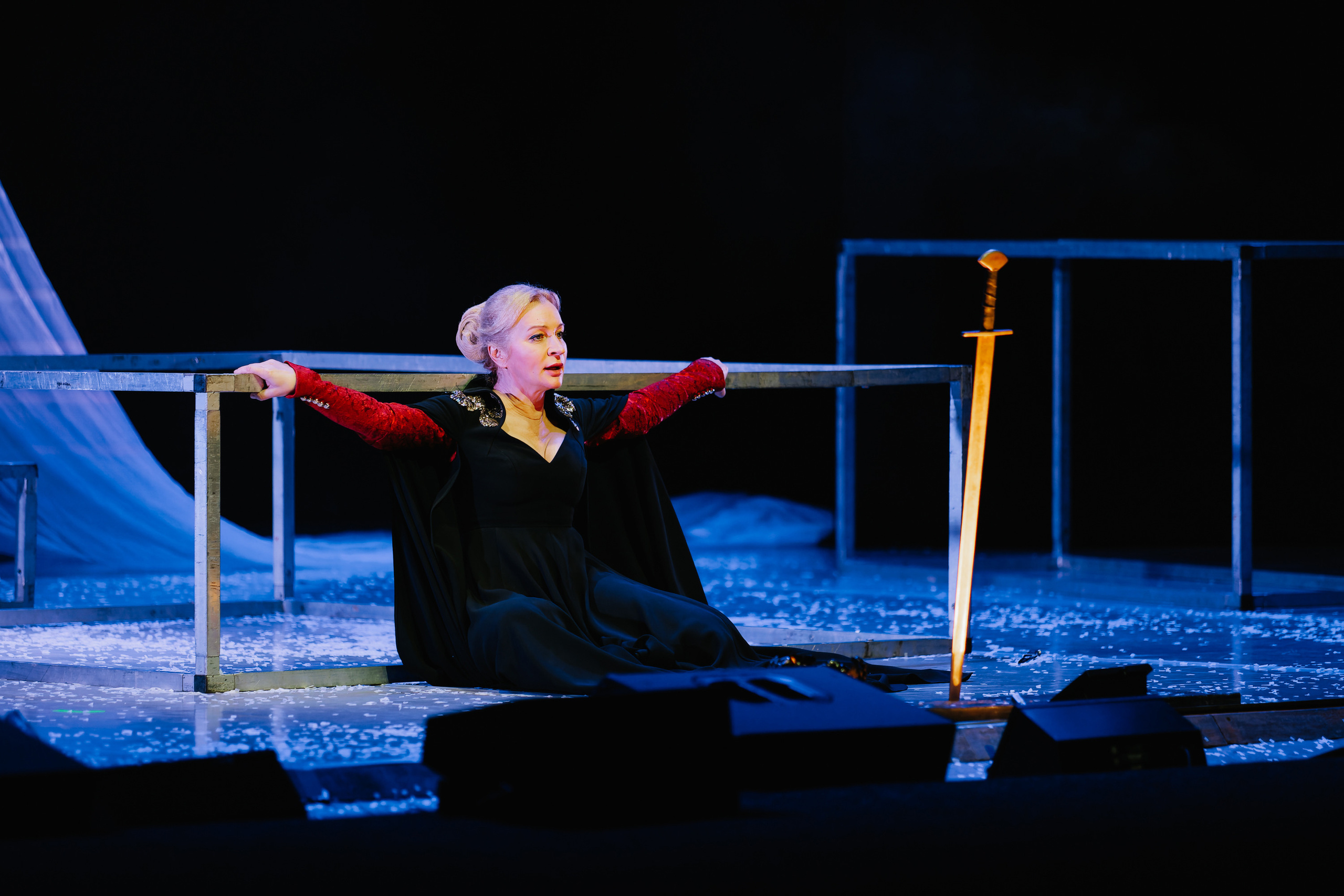 «Лев зимой». Фото и видео контент за одну съемку — Веретенников Егор