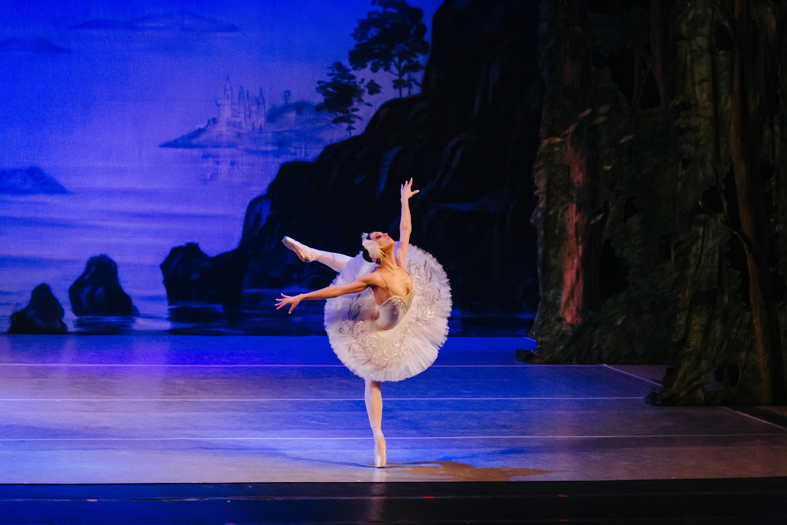 «Лебединое озеро». Фото и видео контент за одну съемку — Веретенников Егор