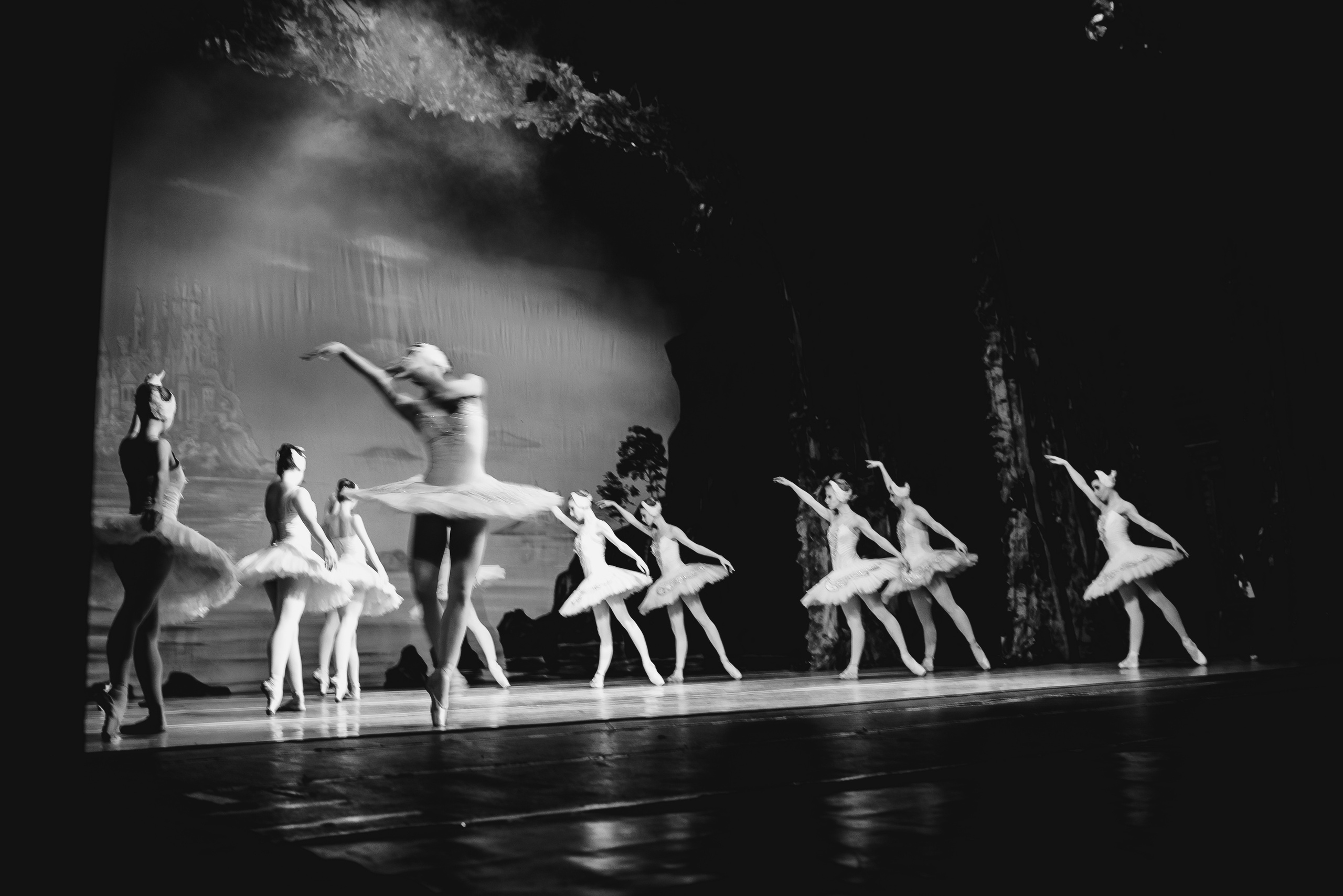 «Лебединое озеро». Фото и видео контент за одну съемку — Веретенников Егор