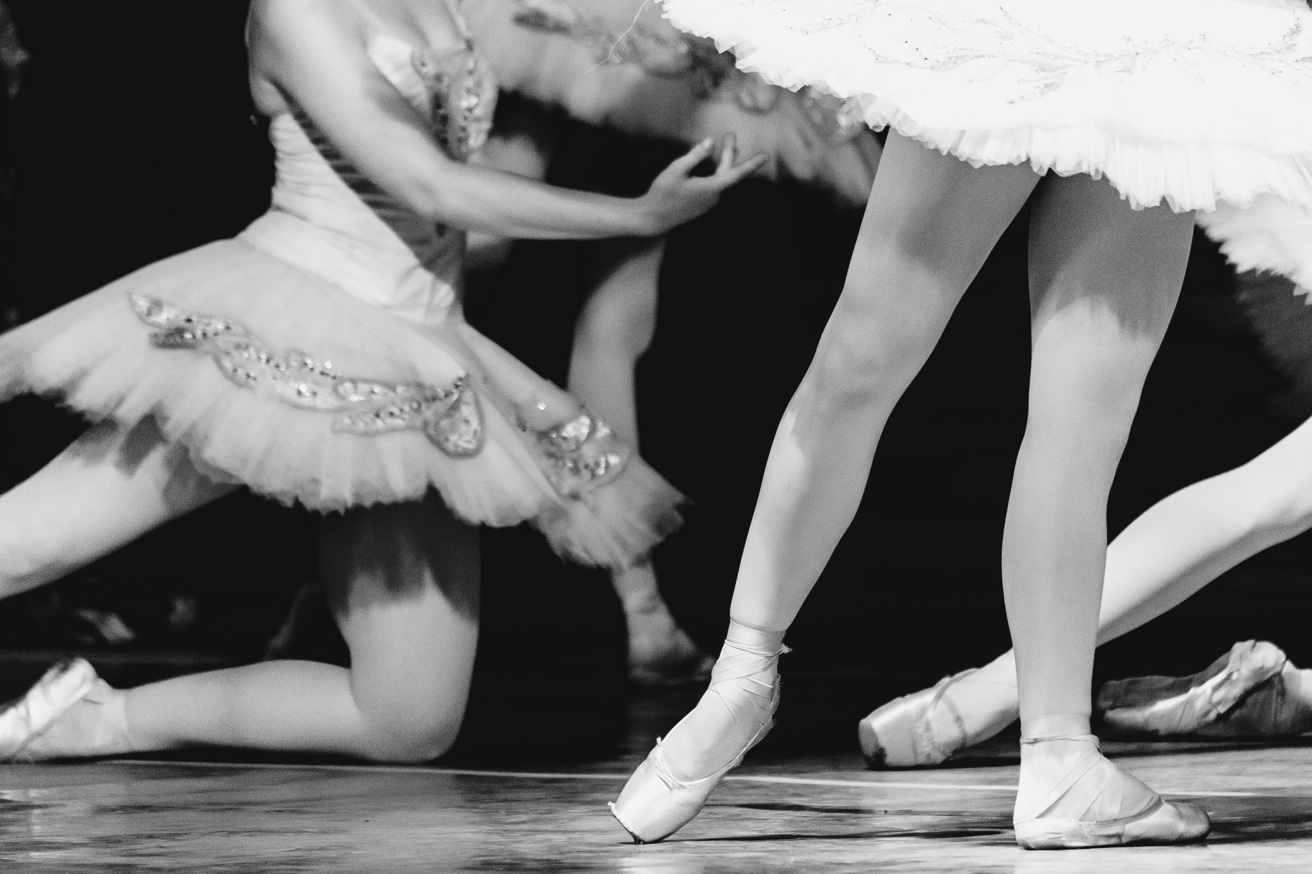 «Лебединое озеро». Фото и видео контент за одну съемку — Веретенников Егор