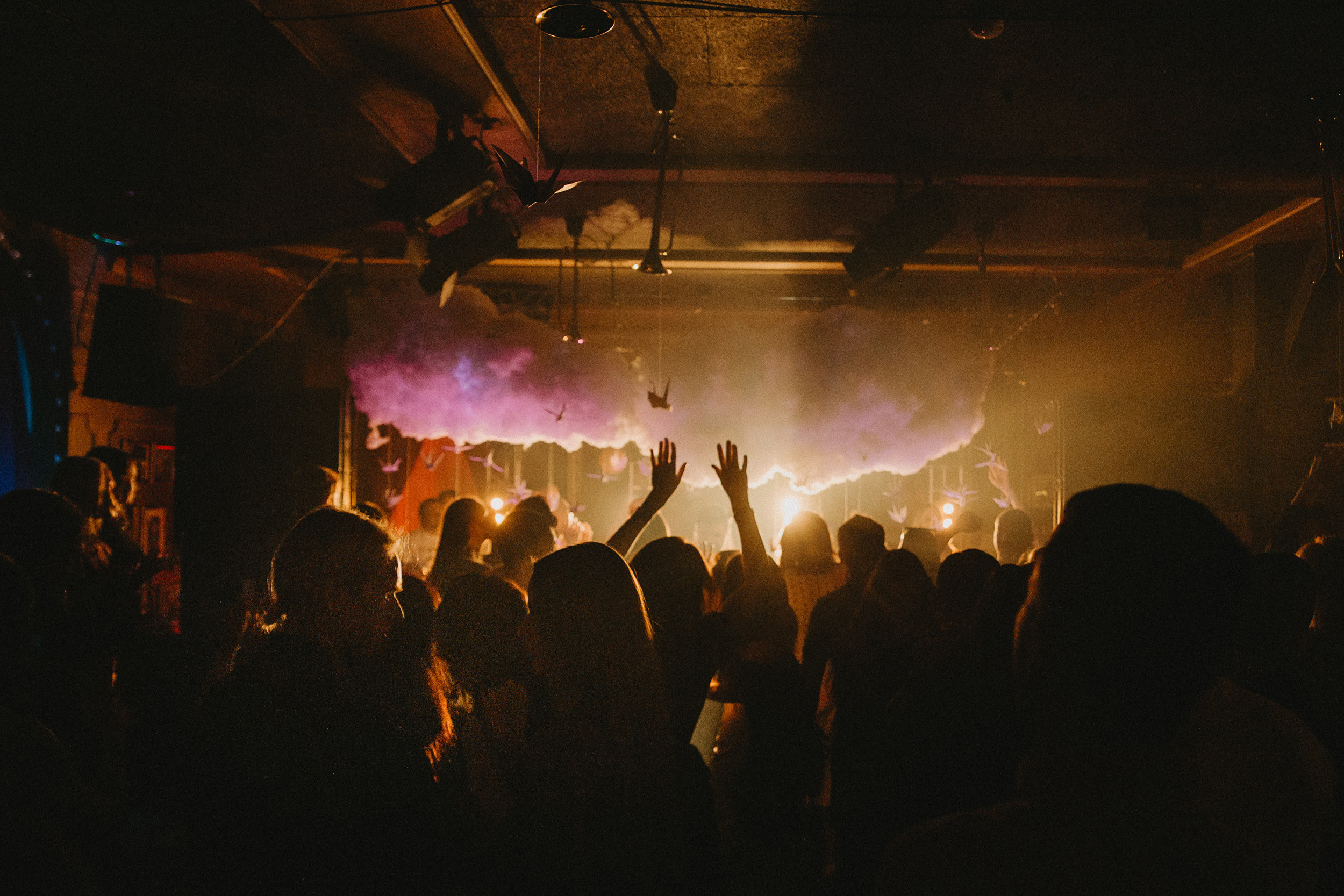 Birds are coming. Фото и видео контент за одну съемку — Веретенников Егор