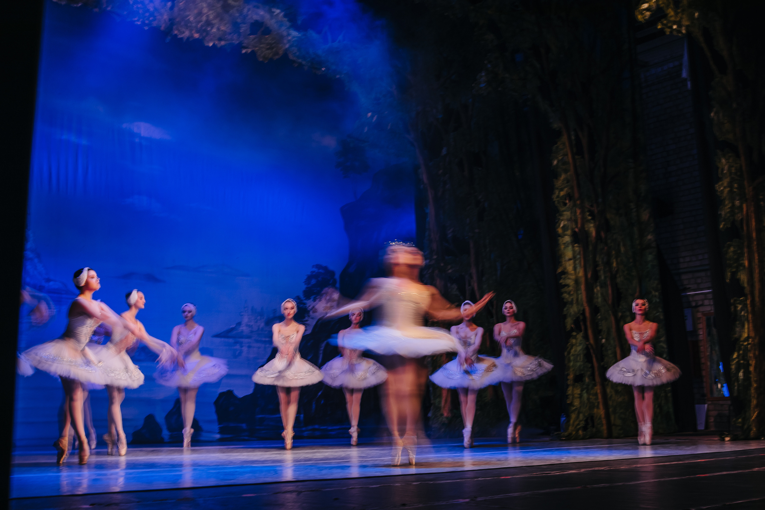 «Лебединое озеро». Фото и видео контент за одну съемку — Веретенников Егор