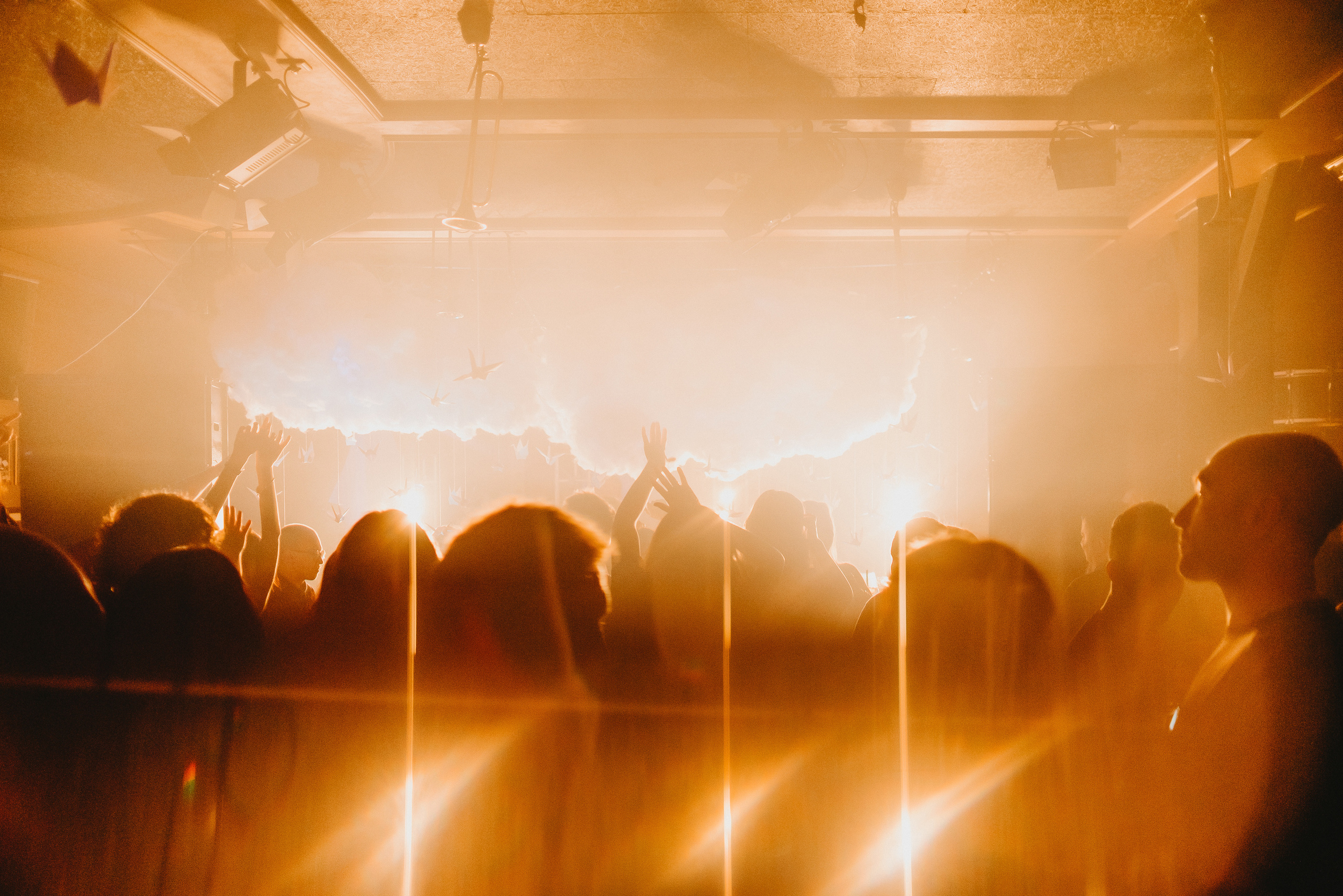 Birds are coming. Фото и видео контент за одну съемку — Веретенников Егор