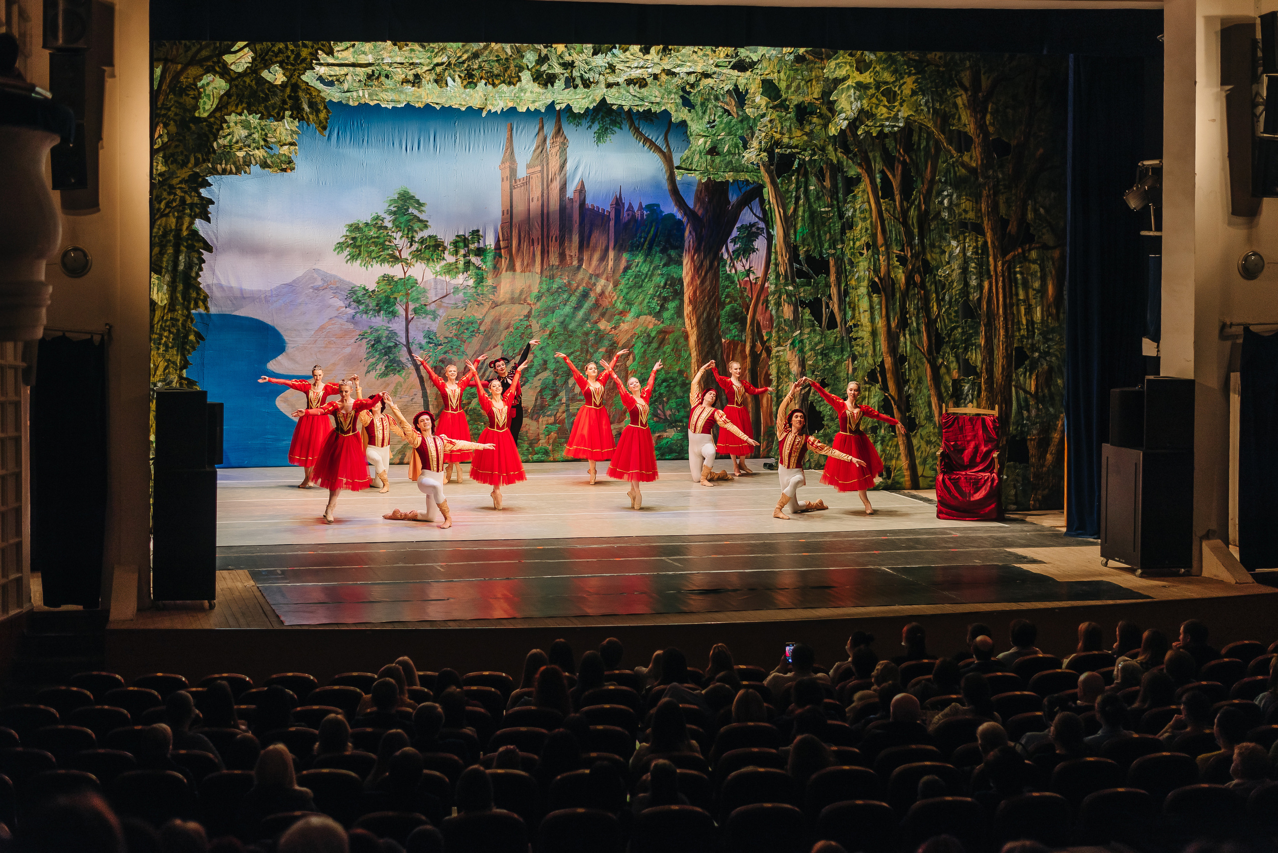 «Лебединое озеро». Фото и видео контент за одну съемку — Веретенников Егор