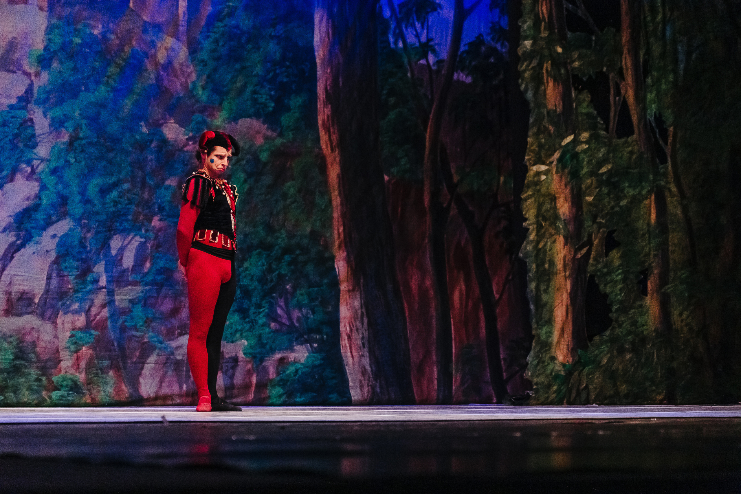 «Лебединое озеро». Фото и видео контент за одну съемку — Веретенников Егор