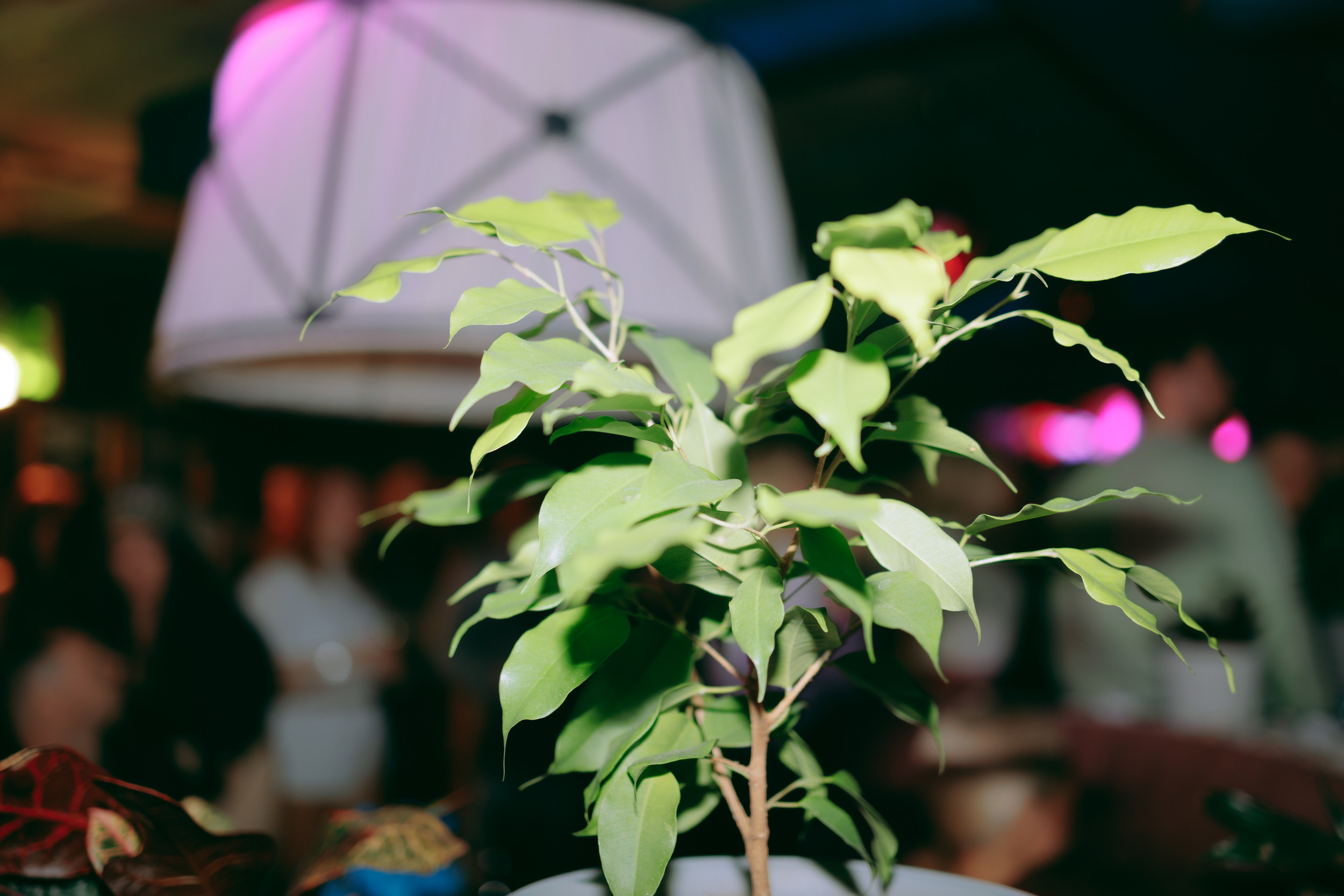 MANTRA: Spider. Фото и видео контент за одну съемку — Веретенников Егор