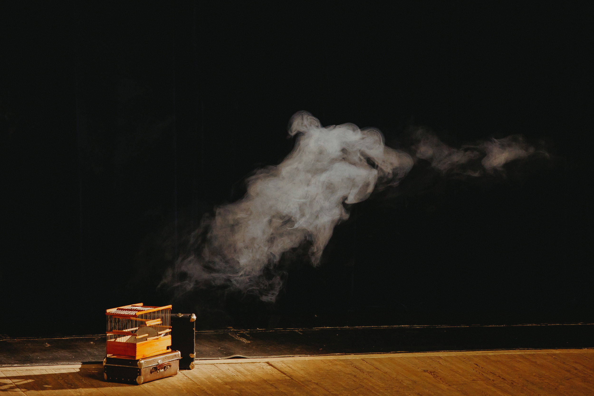 «Дорогая Памела». Фото и видео контент за одну съемку — Веретенников Егор