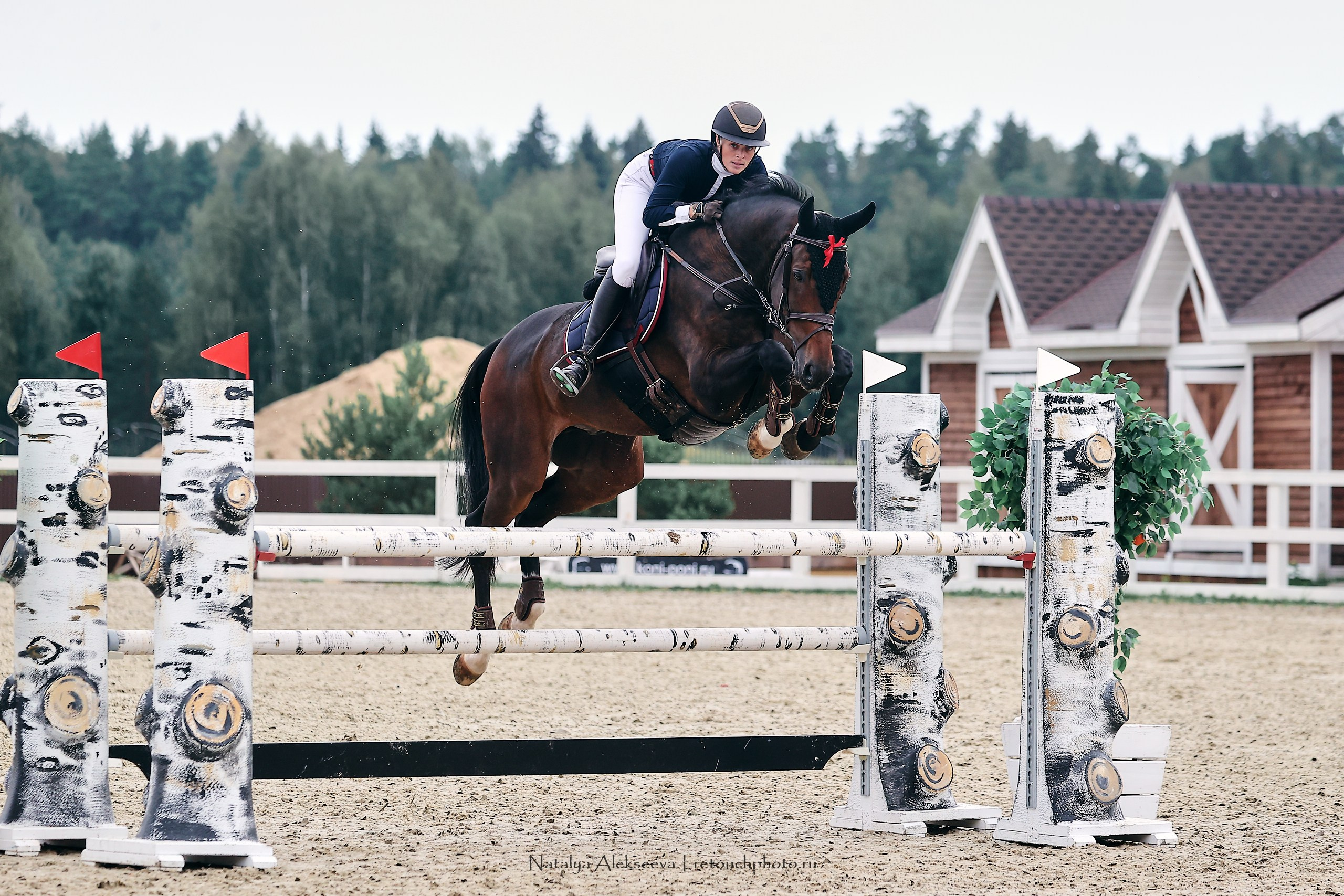 Лично-Командный ЧР по конкуру, КСК Horseka | 08'2023. Репортажный фотограф и ретушер в Москве Наталья Алексеева