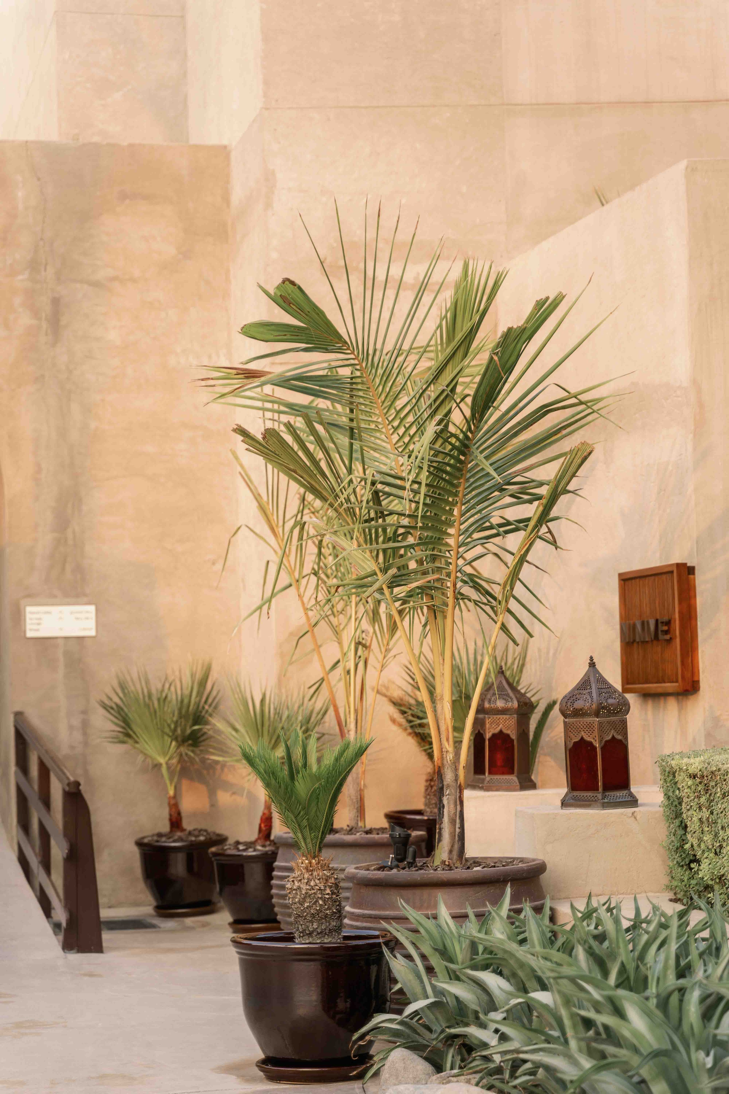 Proposal in Dubai | Bab al Shams in desert