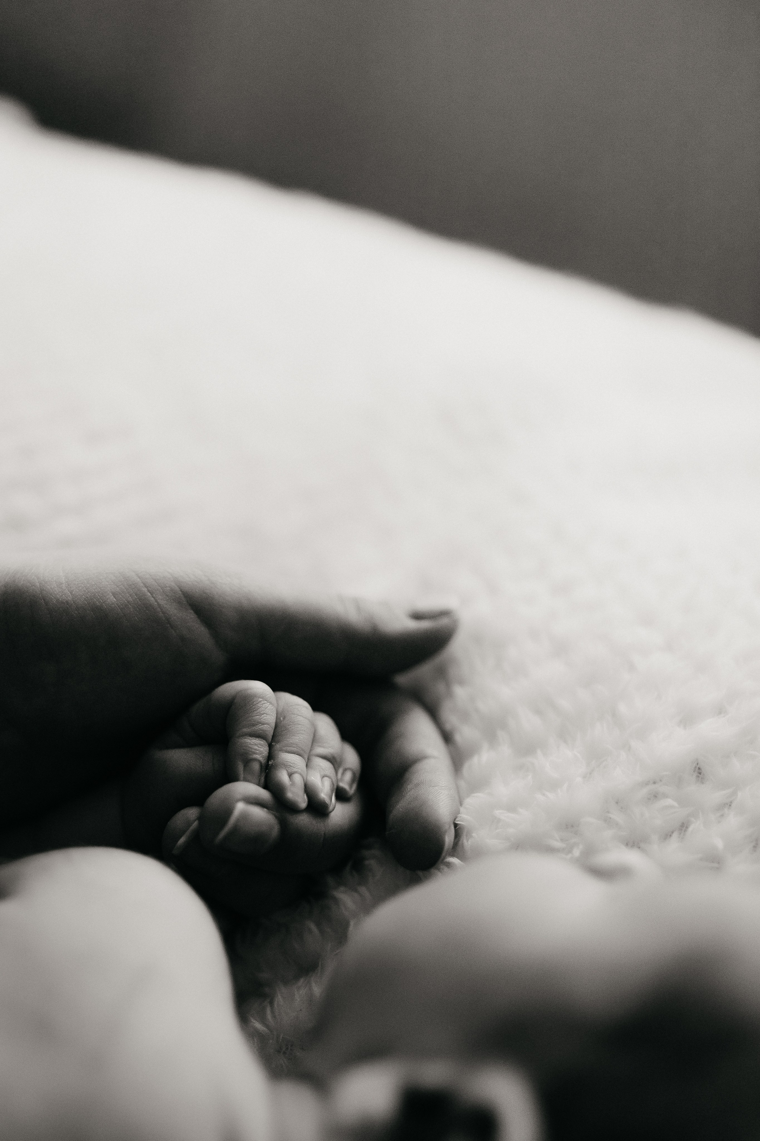 New born. Семейный и портретный фотограф в Санкт-Петербурге Владислава Бычкова