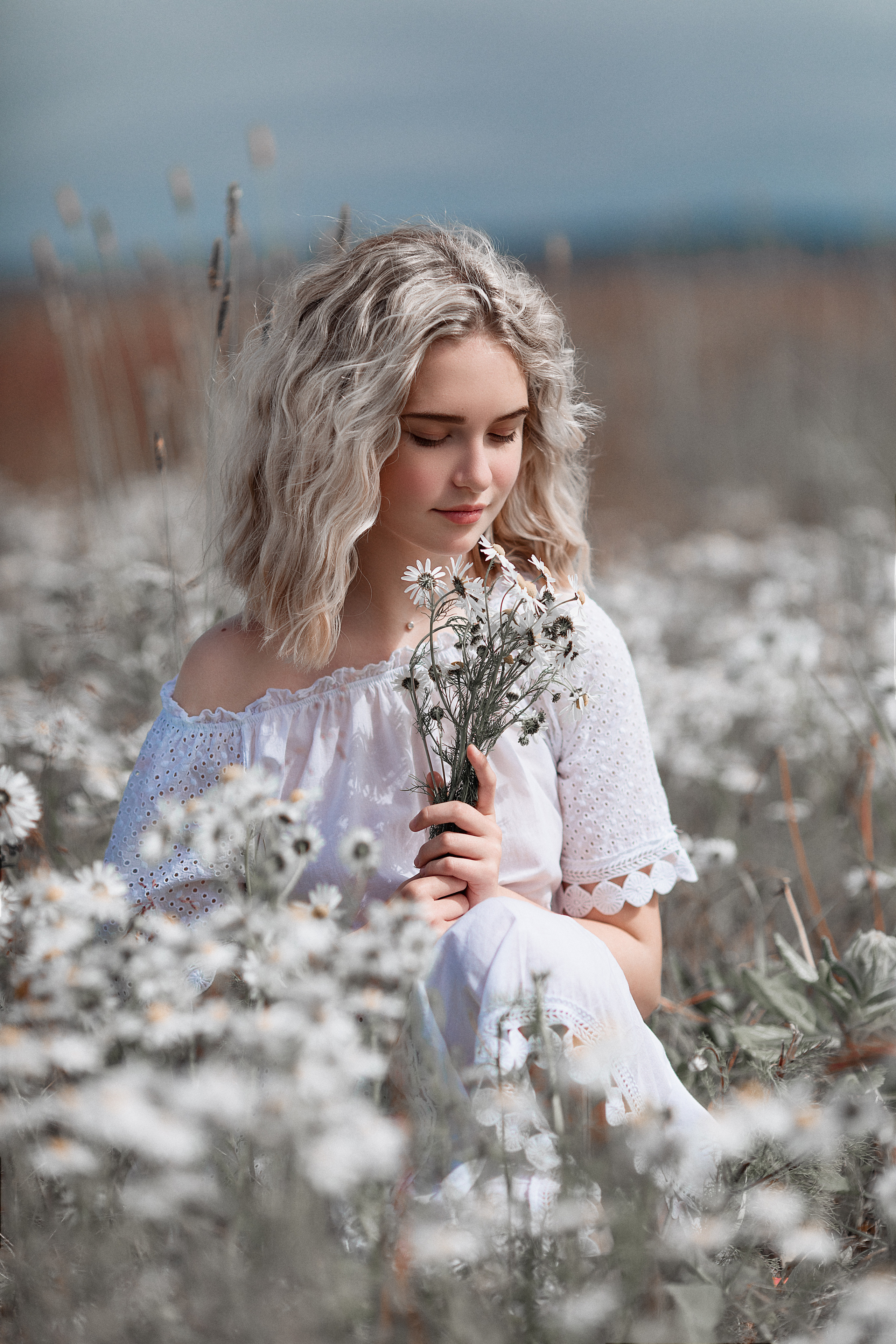 Ромашка. Фотограф Алёна Яковлева