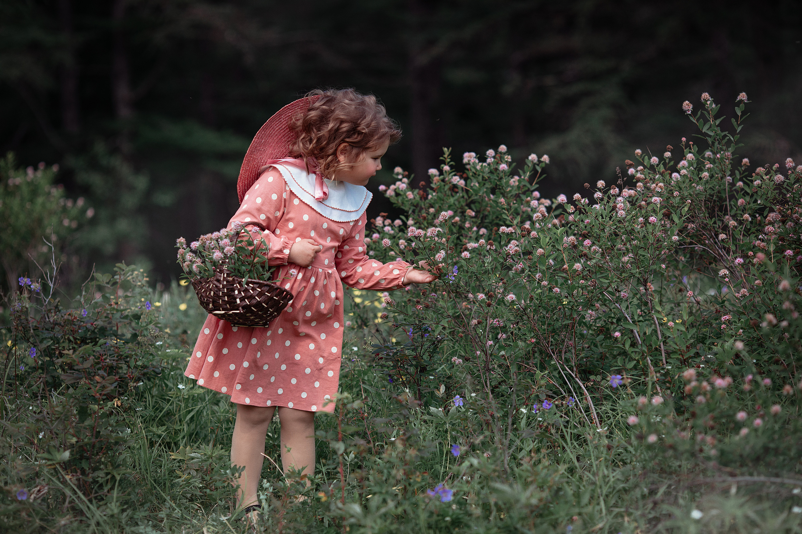 Пуся. Фотограф Алёна Яковлева