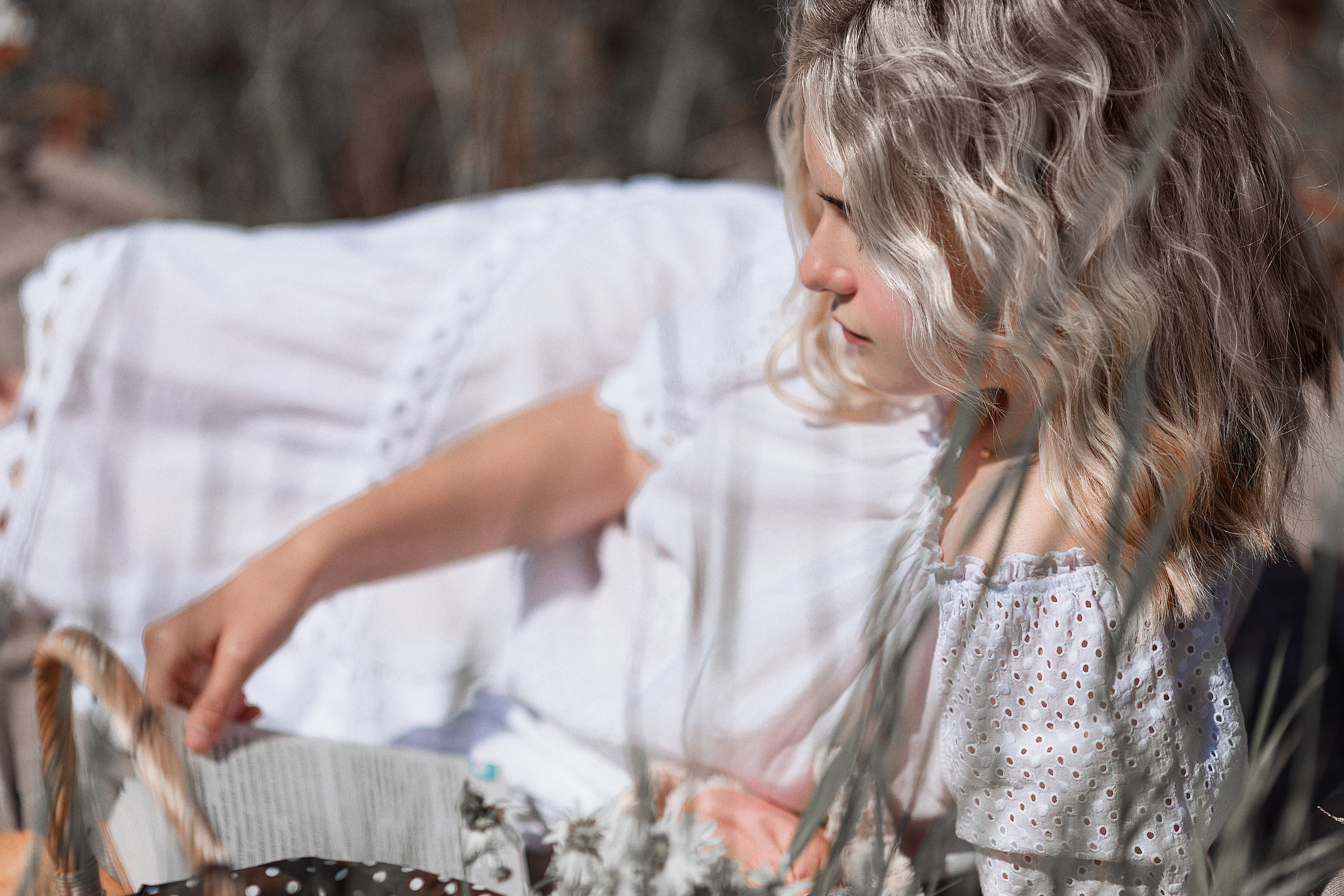 Ромашка. Фотограф Алёна Яковлева