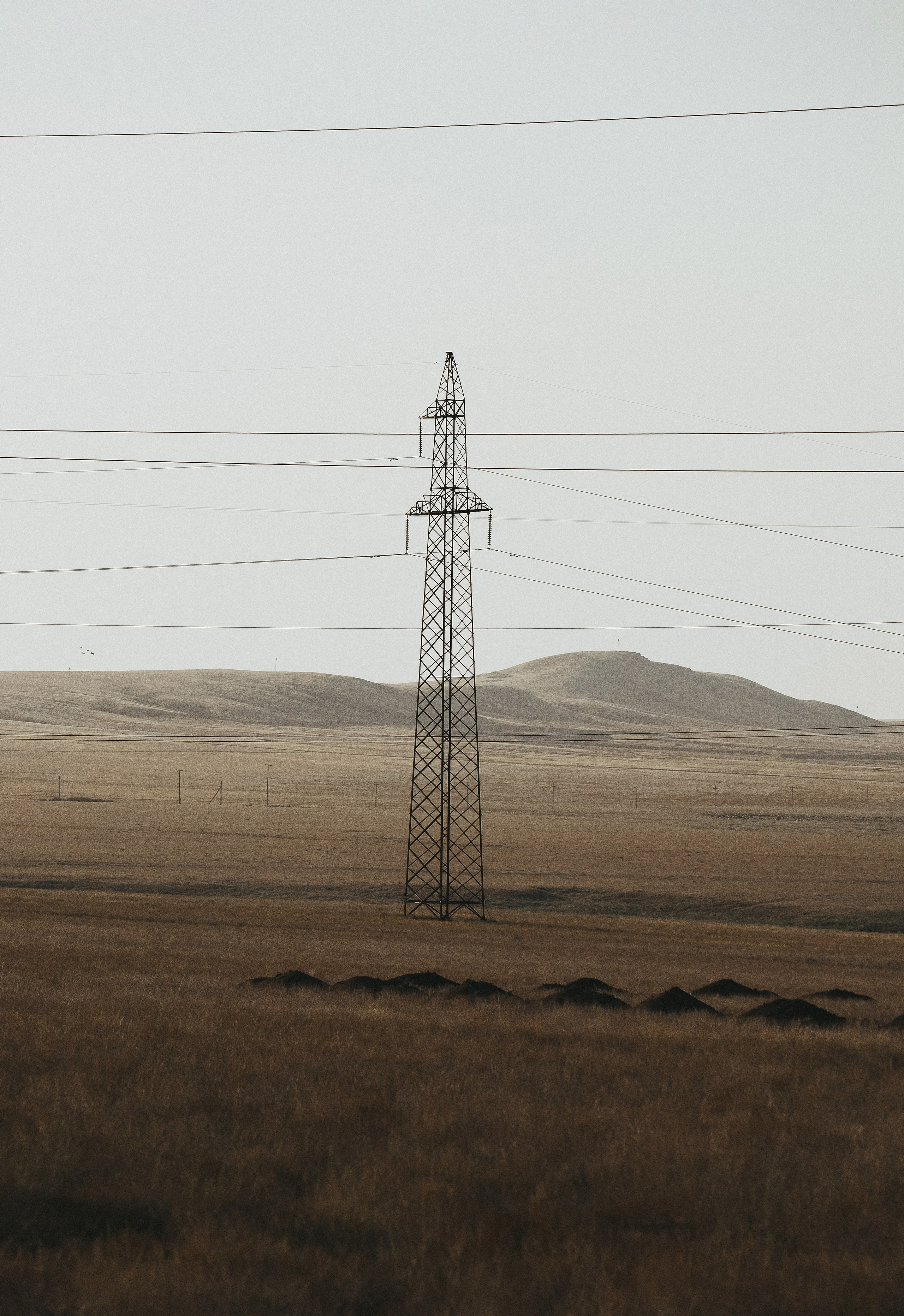 Жизнь. Фотограф Алматы | Весь мир — Никита Колодин