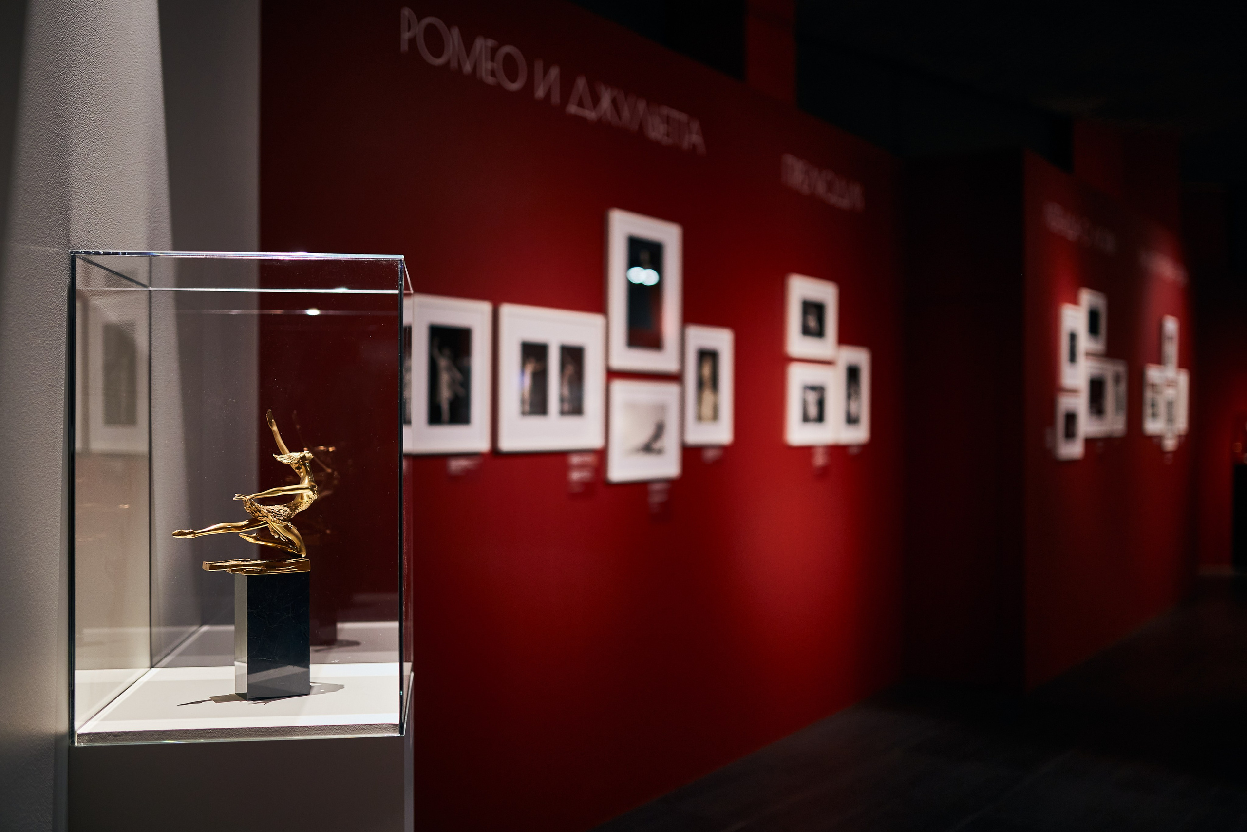 Выставка «Майя Плисецкая. Полюс магии». Даниил Гузиенко — репортажный фотограф в Туле