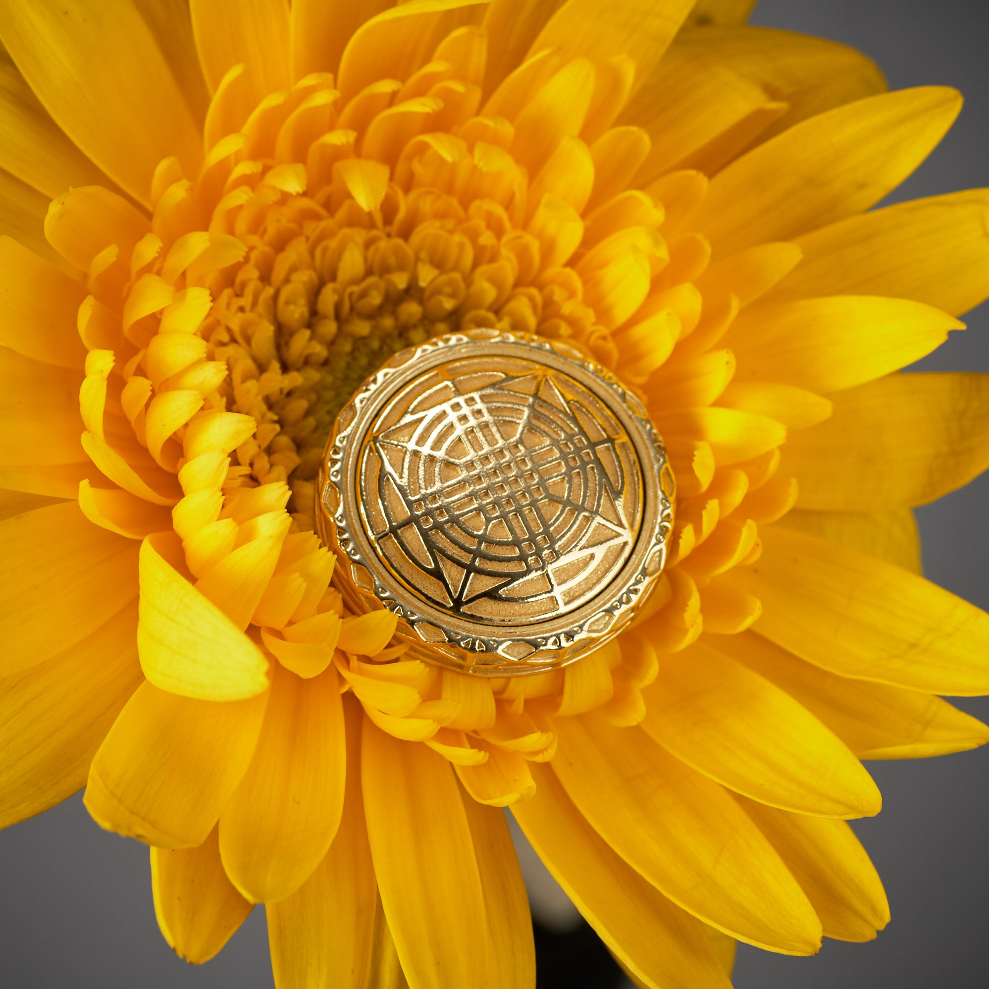 Услуги по предметной фотографии. Портретный и предметный фотограф в Москве Курочкин Алексей