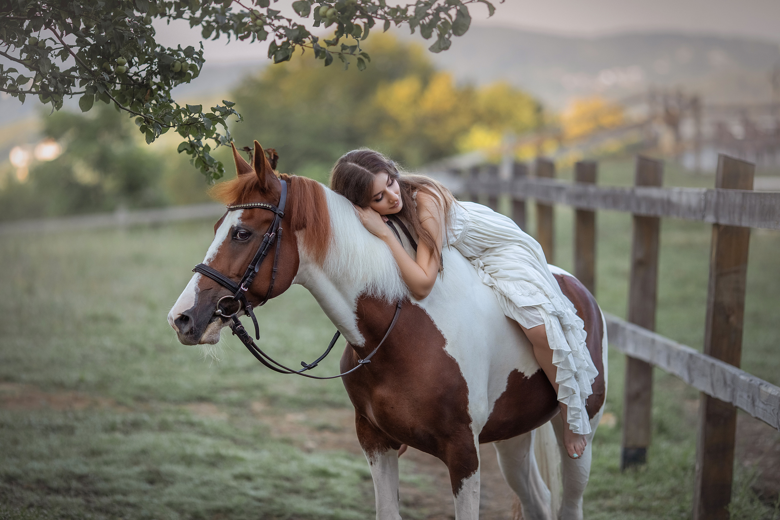 Service packages for Sochi. Photograpther Gracheva Sveta