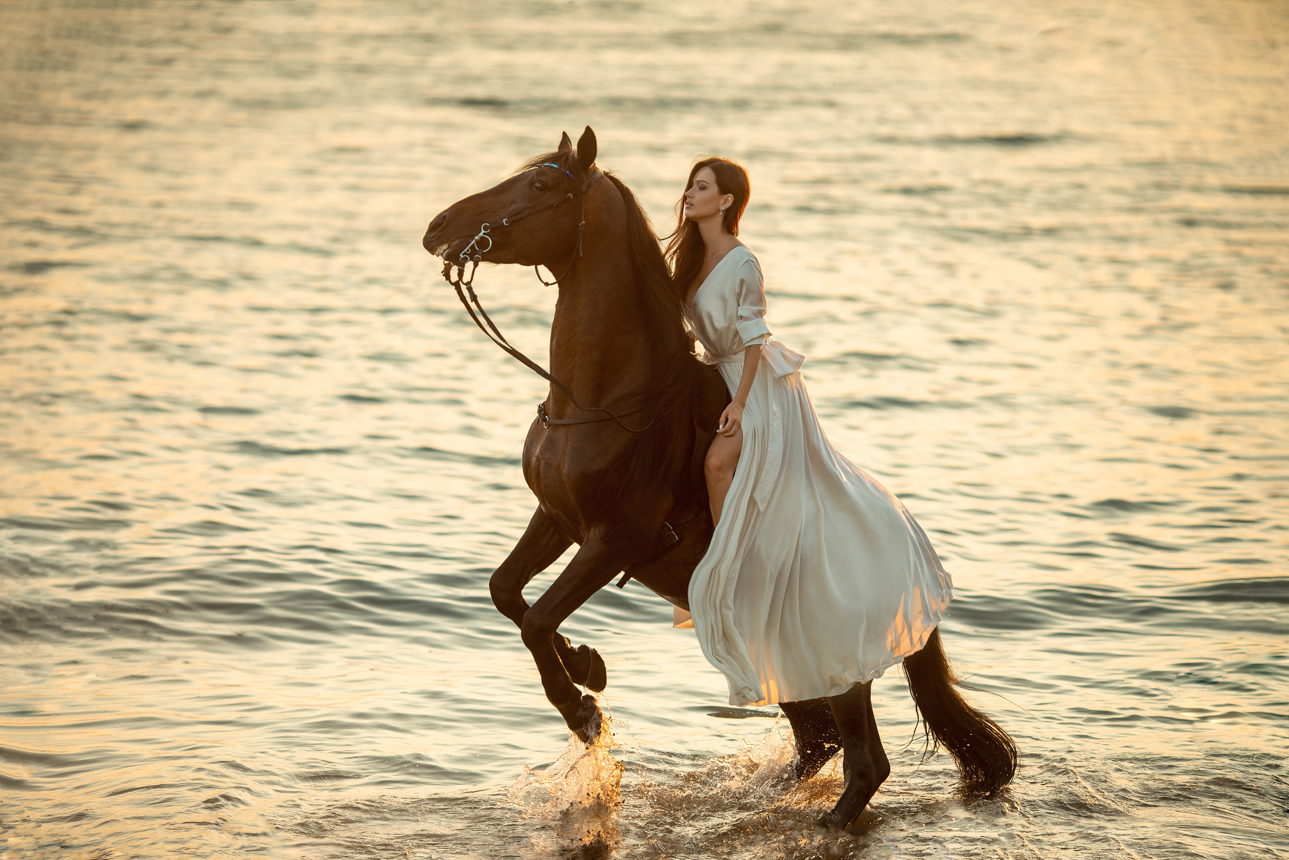 Service packages for Sochi. Photograpther Gracheva Sveta