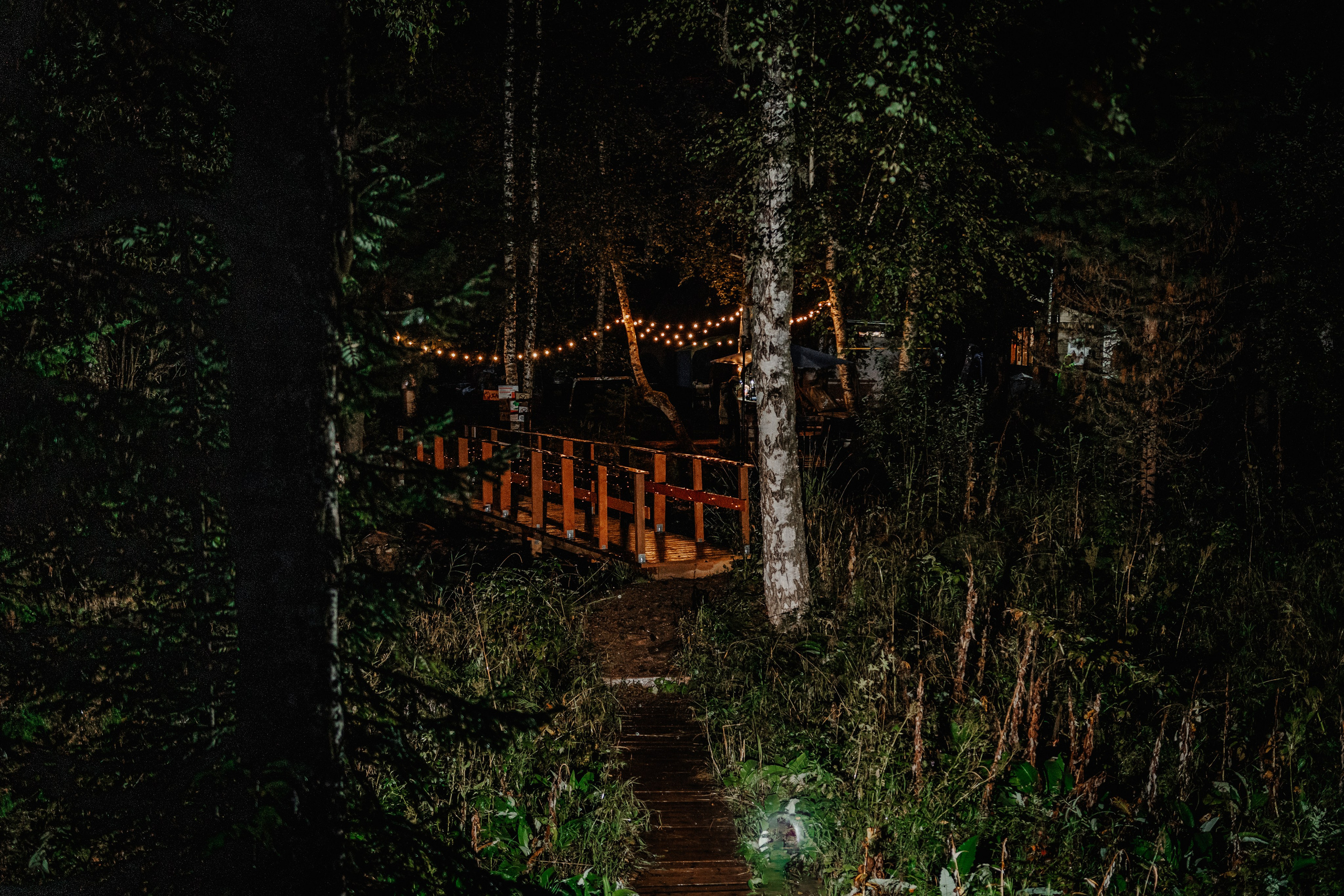 Дог-треккинг