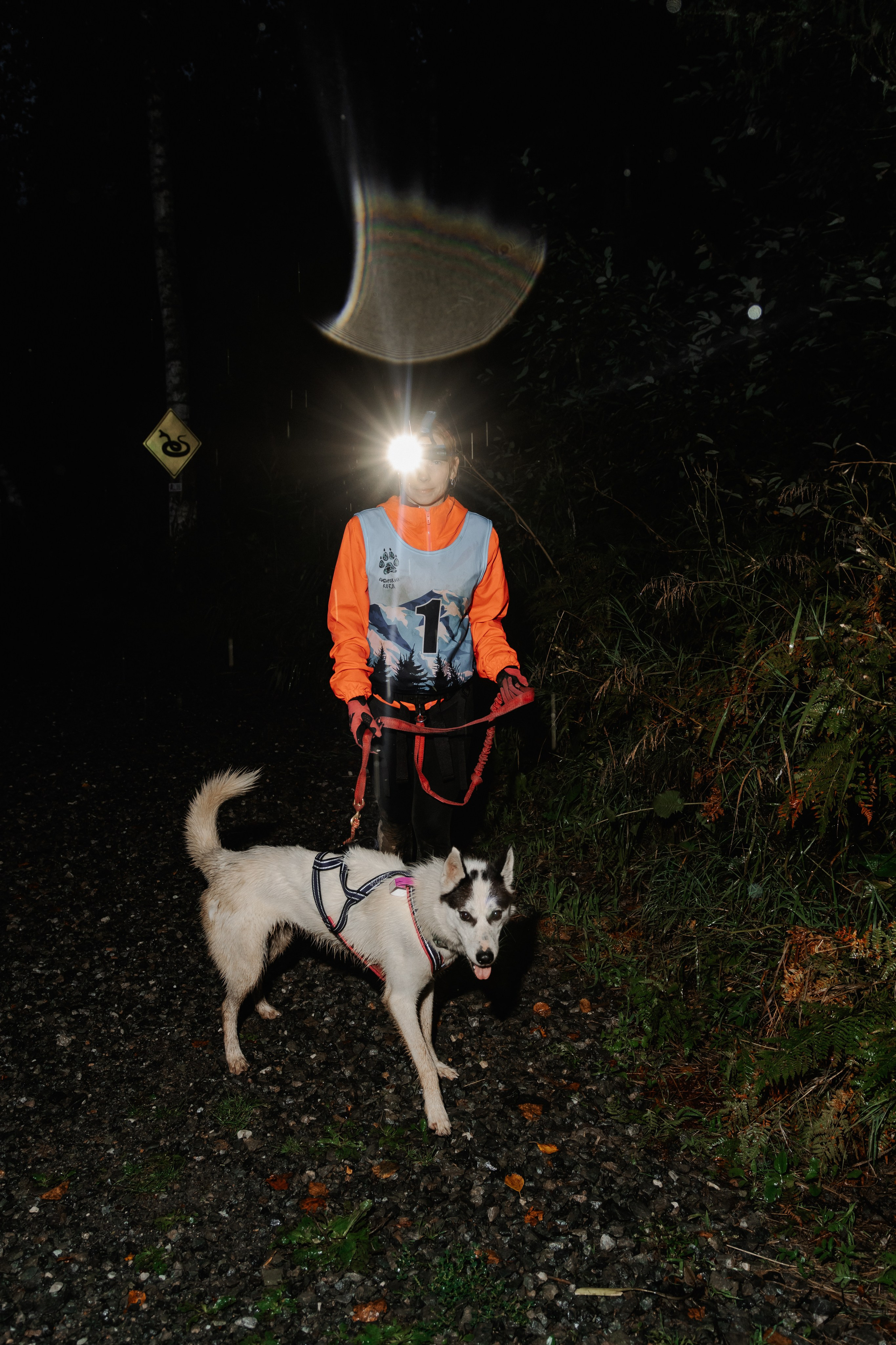 Дог-треккинг