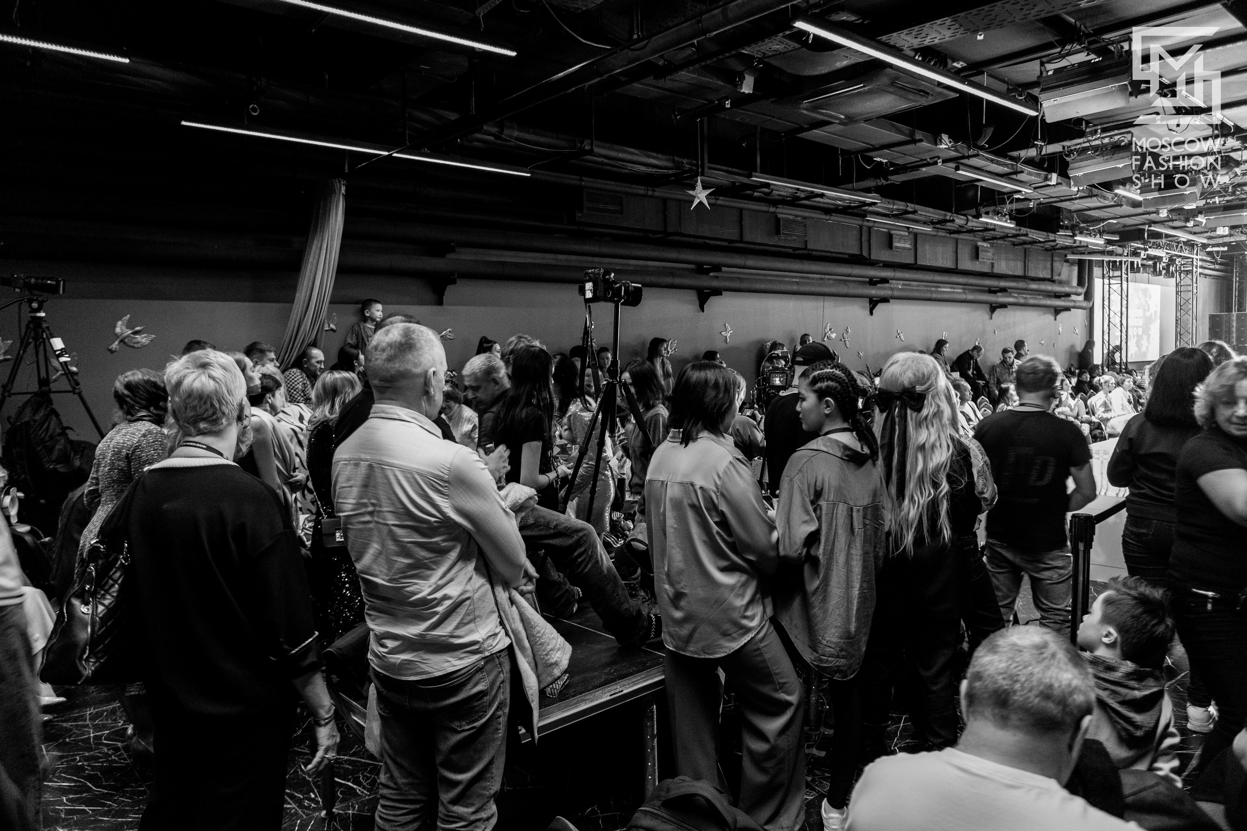 Mfs 12.14.24. Свадебный и Индивидуальный фотограф в Москве Акоп Арсенян