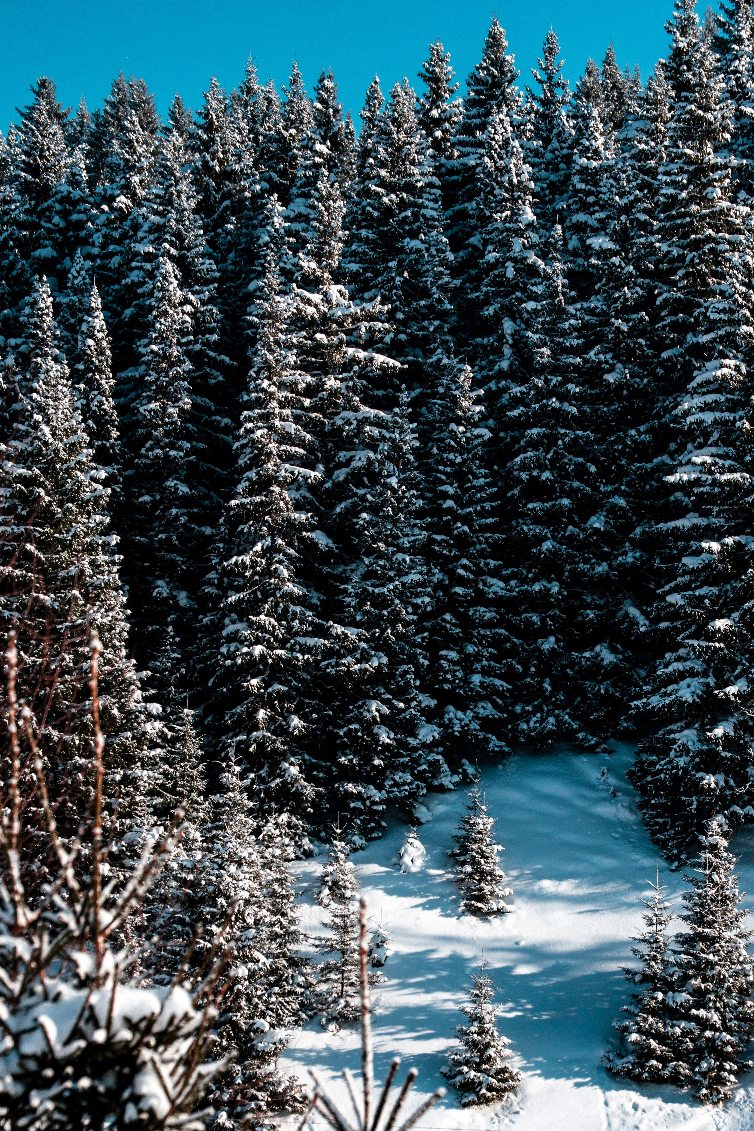 Эстетика еб{деревней}й. Место {не}банальных фото