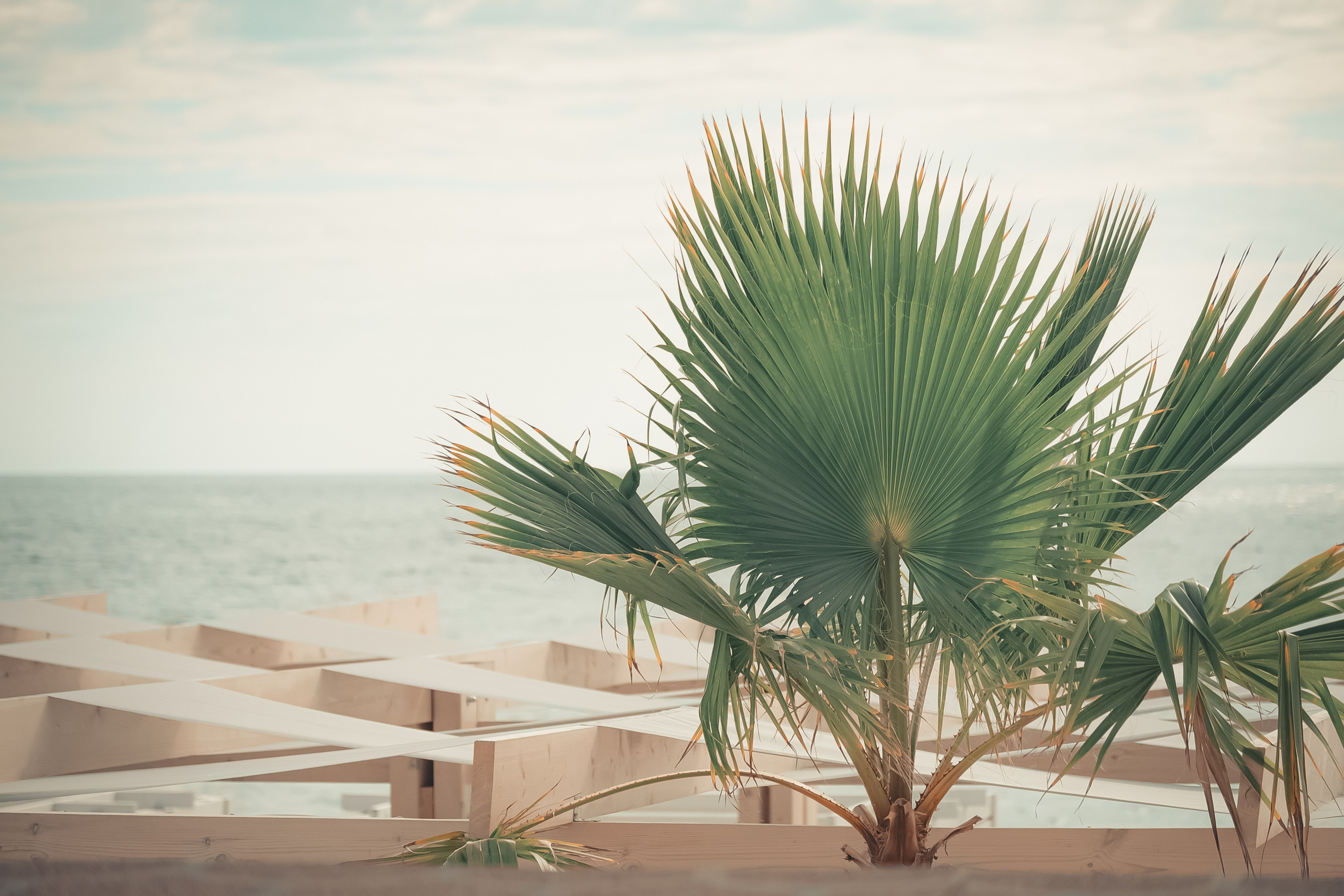 Арх Сочи '25. Место {не}банальных фото