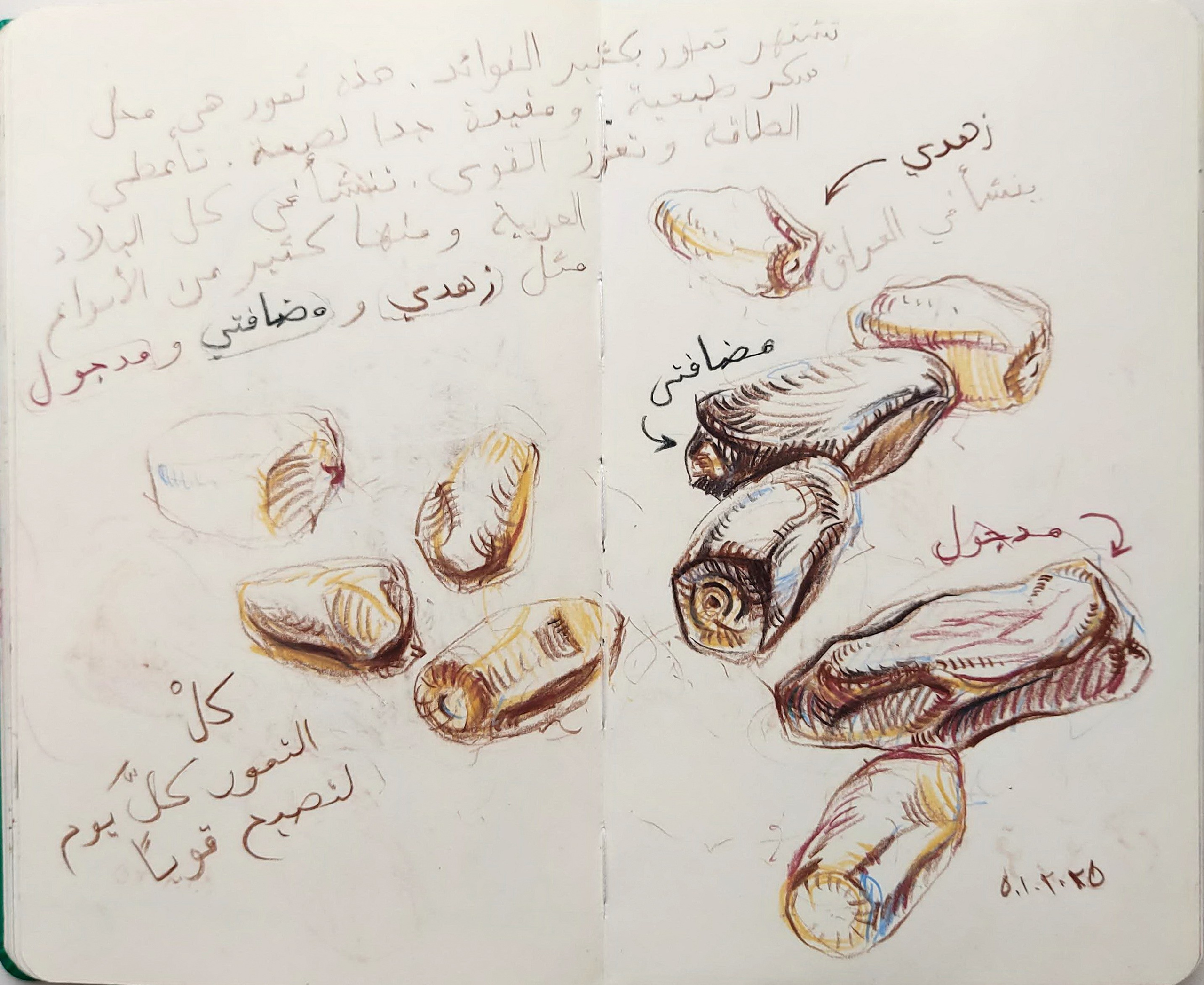 Quick Sketches. Alexander Manaenkov | Watercolor Artist from Siberia