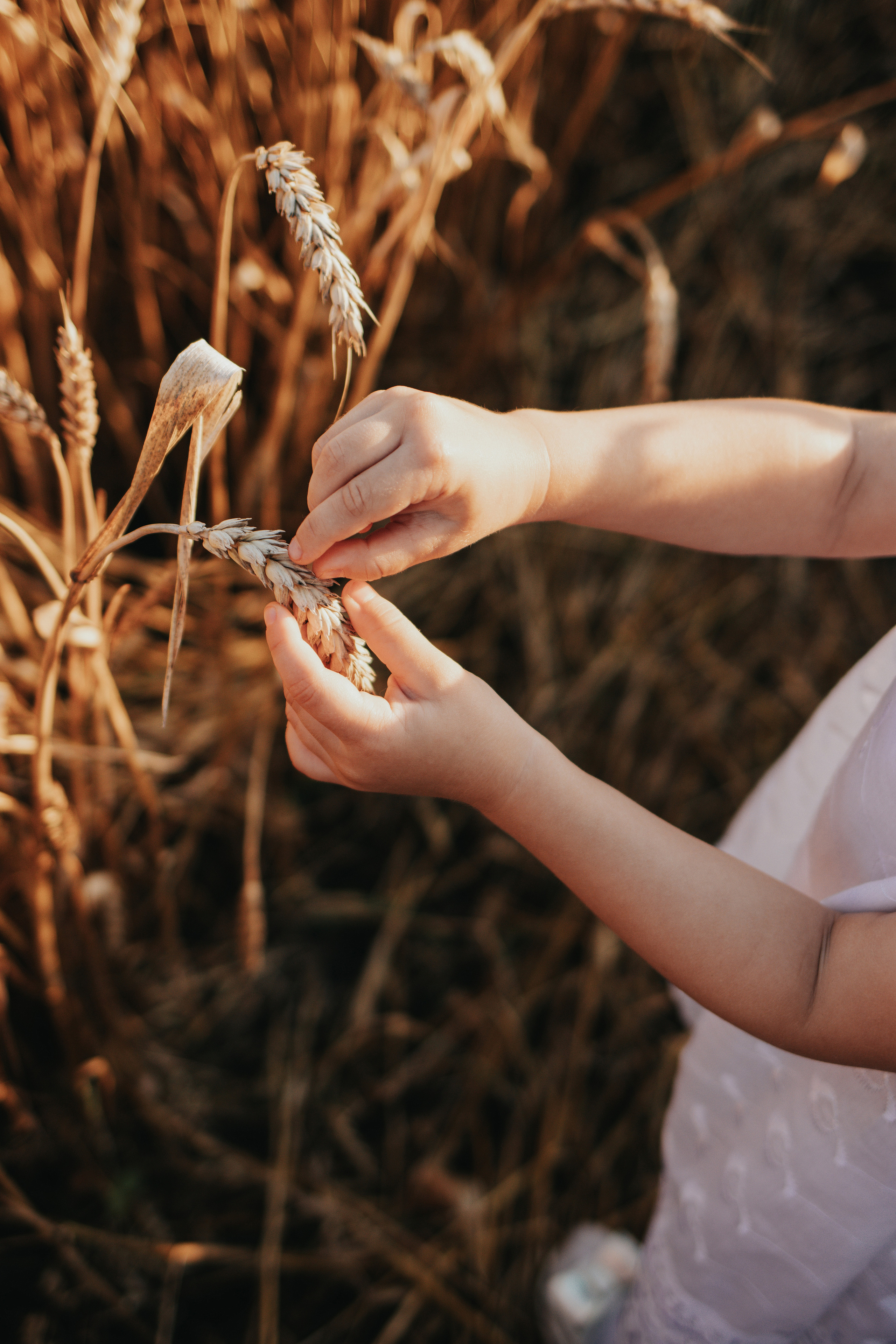 Летняя история на закате. Фотограф Пенза/Сердобск