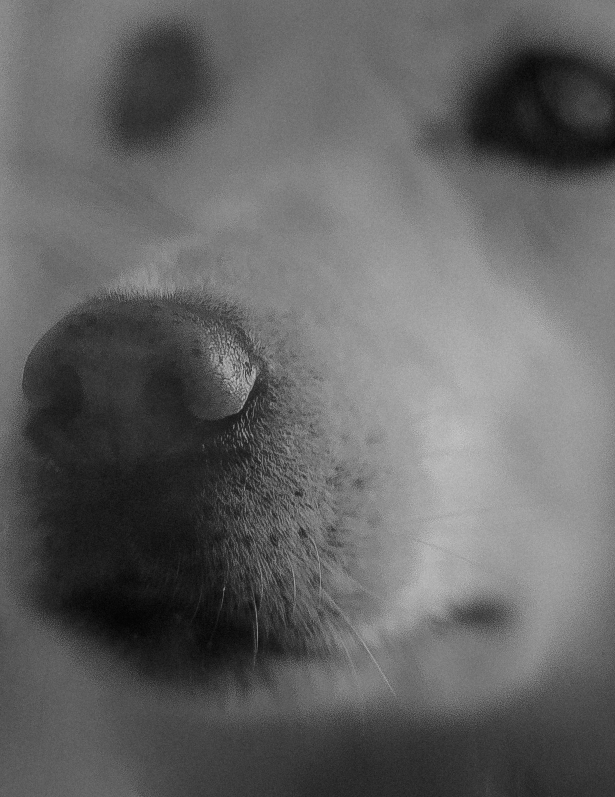 Домашний лайфстал. Фотограф материнства и таинства кормления Екатерина Кузьмин