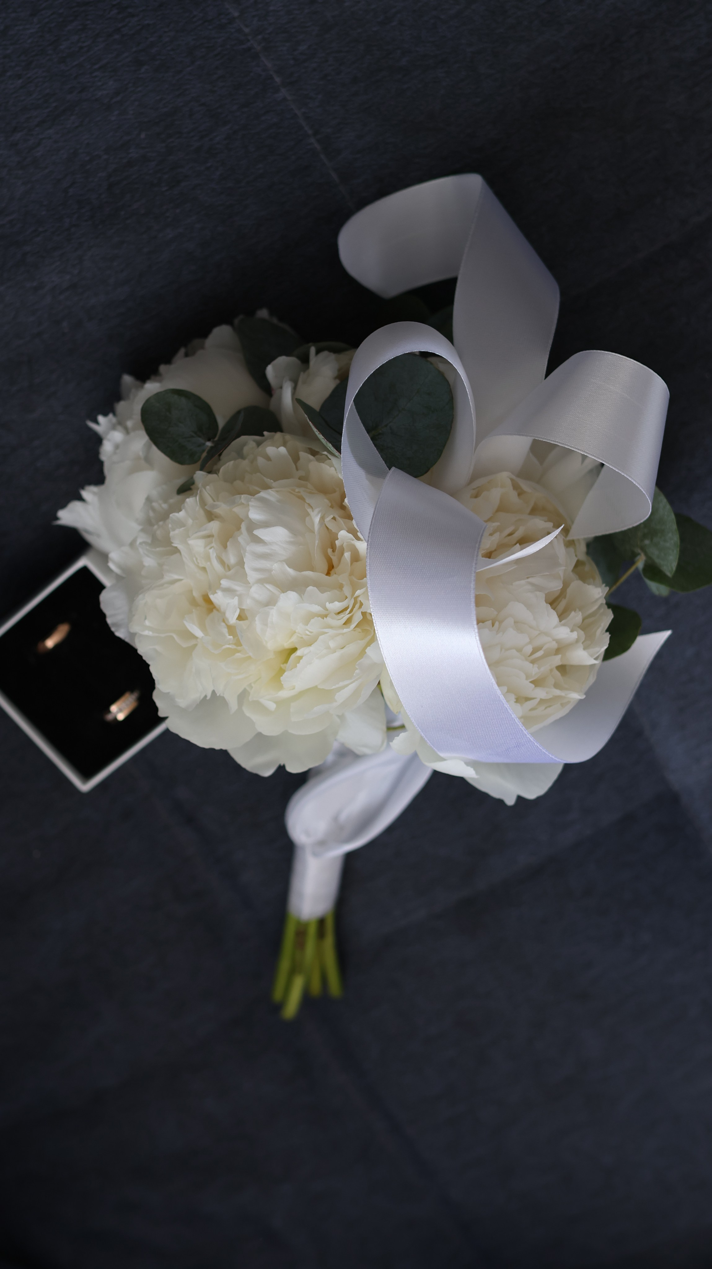 Герман & Мария. Фотография — это жизнь, освещенная вспышкой