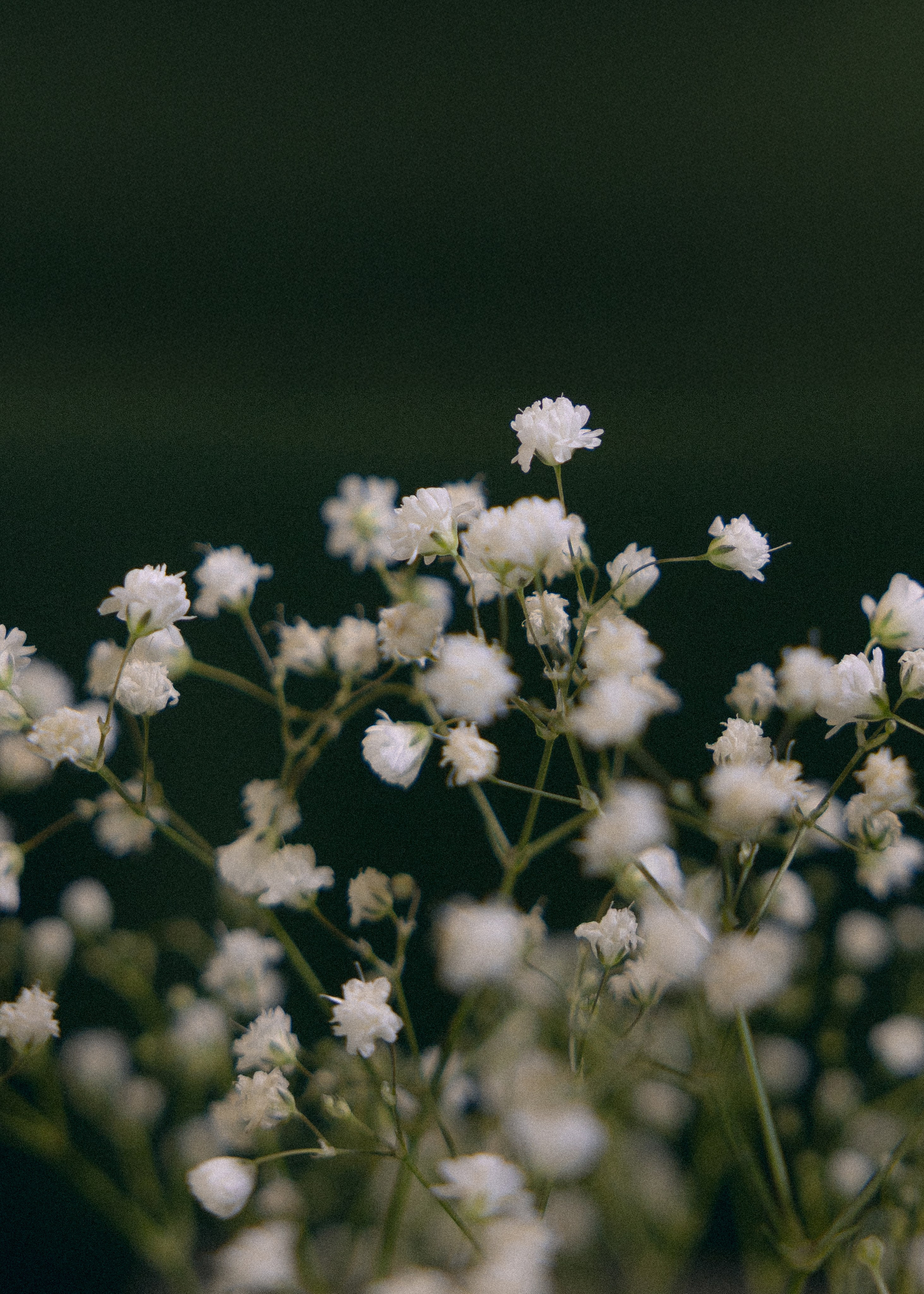 Андрей и Полина. Свадебный фотограф Ксения Ровковская