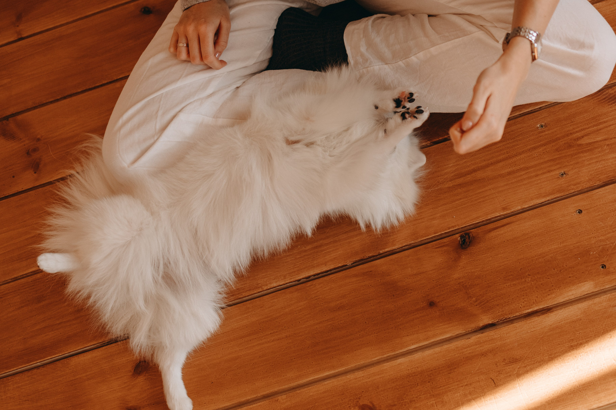 Джесси и ее семья. Фотограф — Анималист | Санкт-Петербург