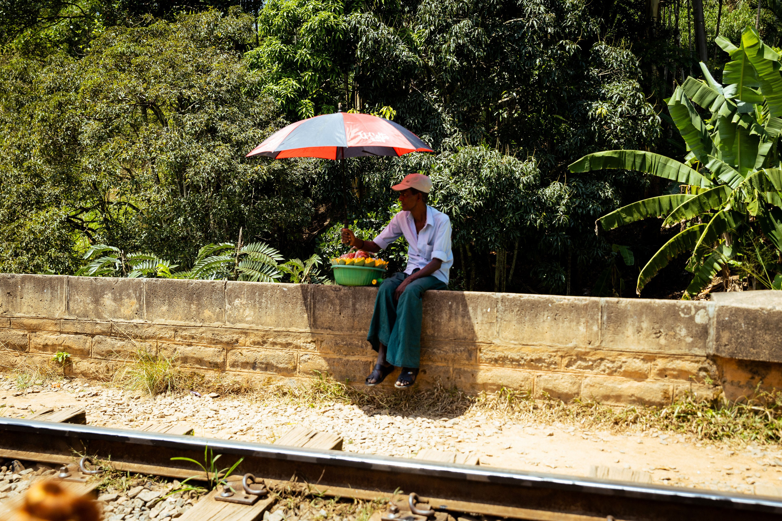 Шри-Ланка (весна 2024). Фотограф Виноградов Константин