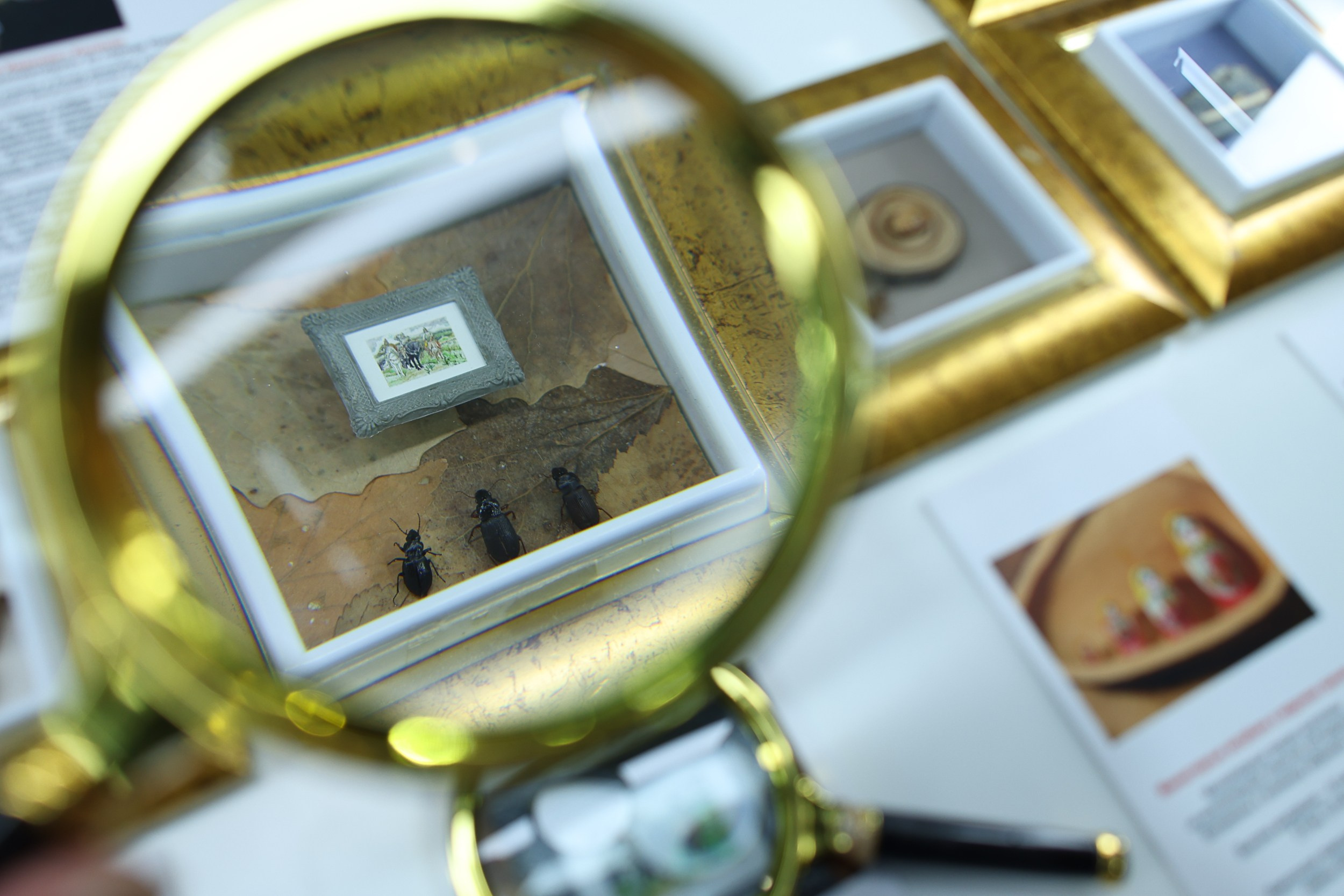 Выставка «Россия». Репортажный, архитектурный, театральный и файн-арт фотограф Лена Мельникова в Москве