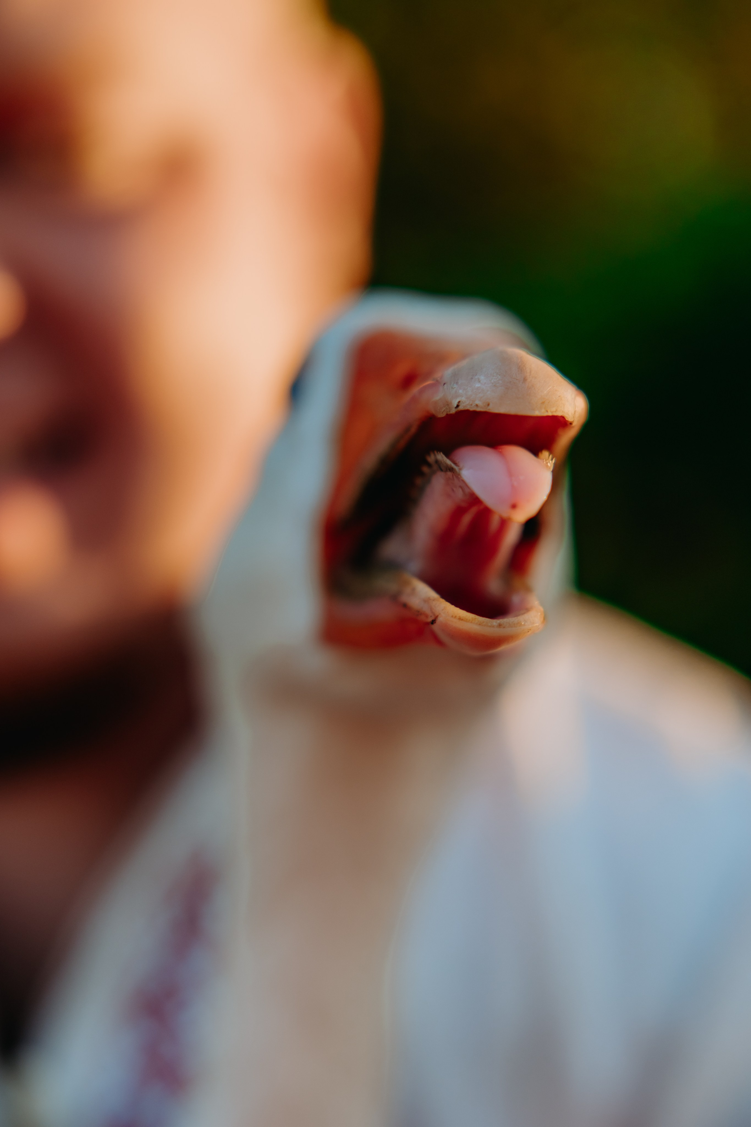 Глеб и Нильс. Фотограф в Саратове Александр Кухаренко. И не только в Саратове :)