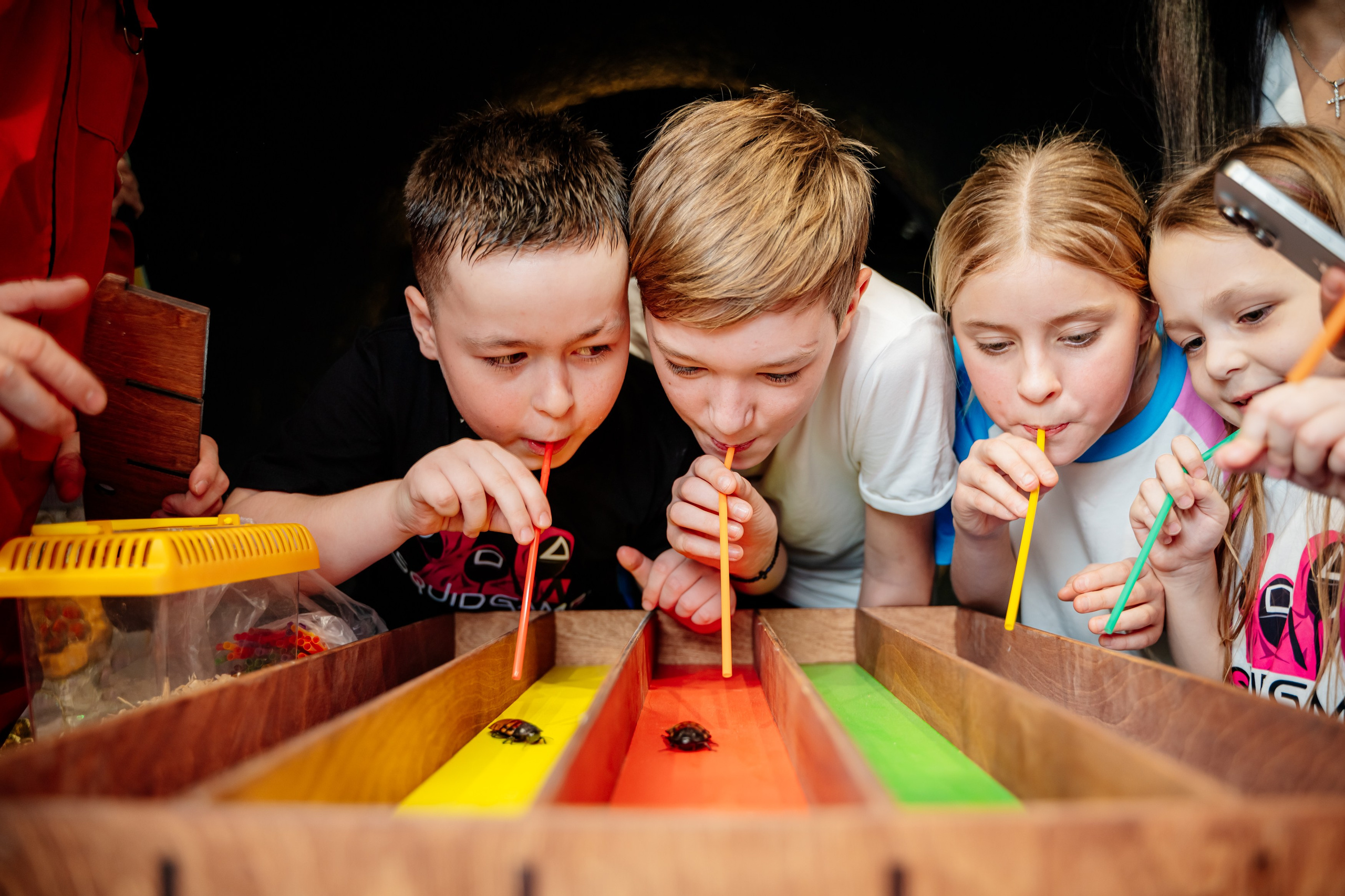 Детский день рождения. Свадебный и семейный фотограф в Сочи Никита Пищов