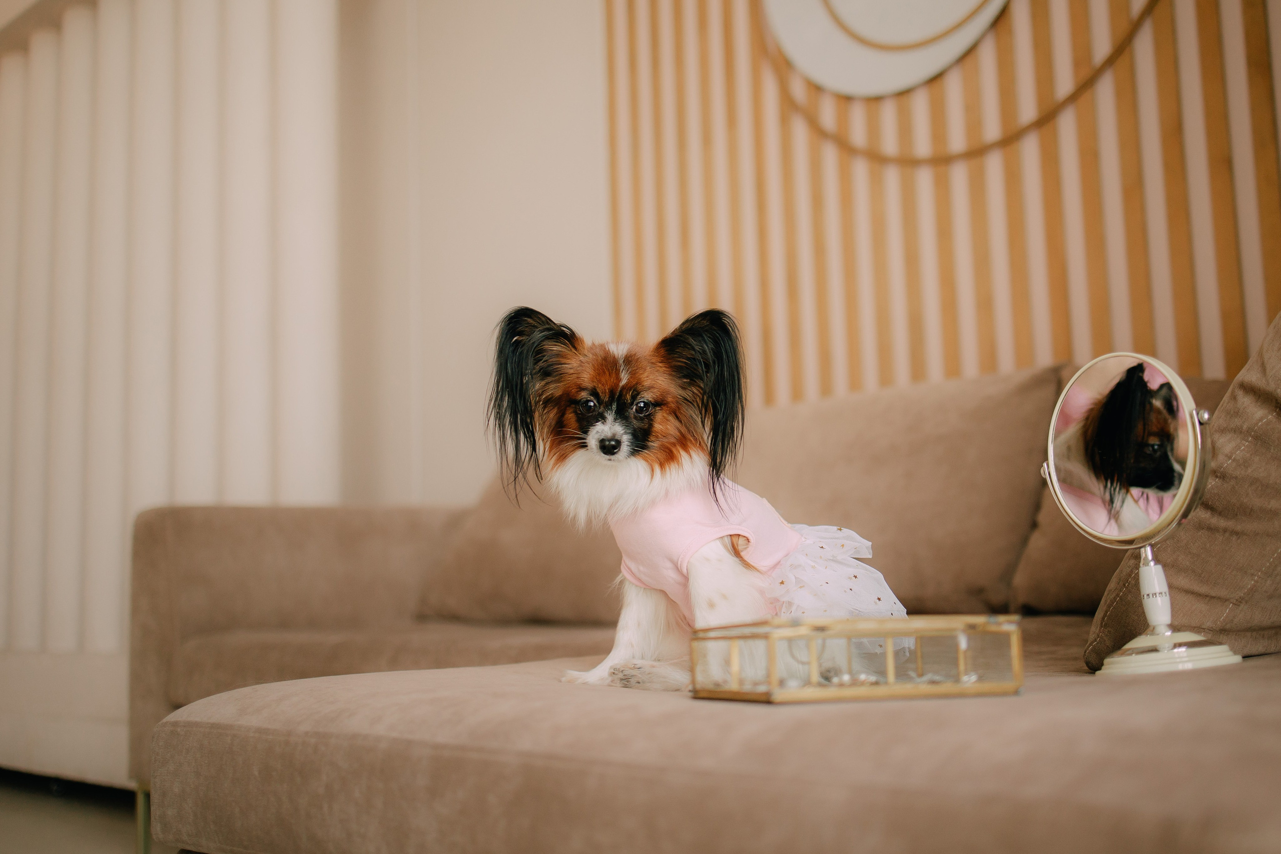 Султан, Мэй Мэй и Шанталь и их семья