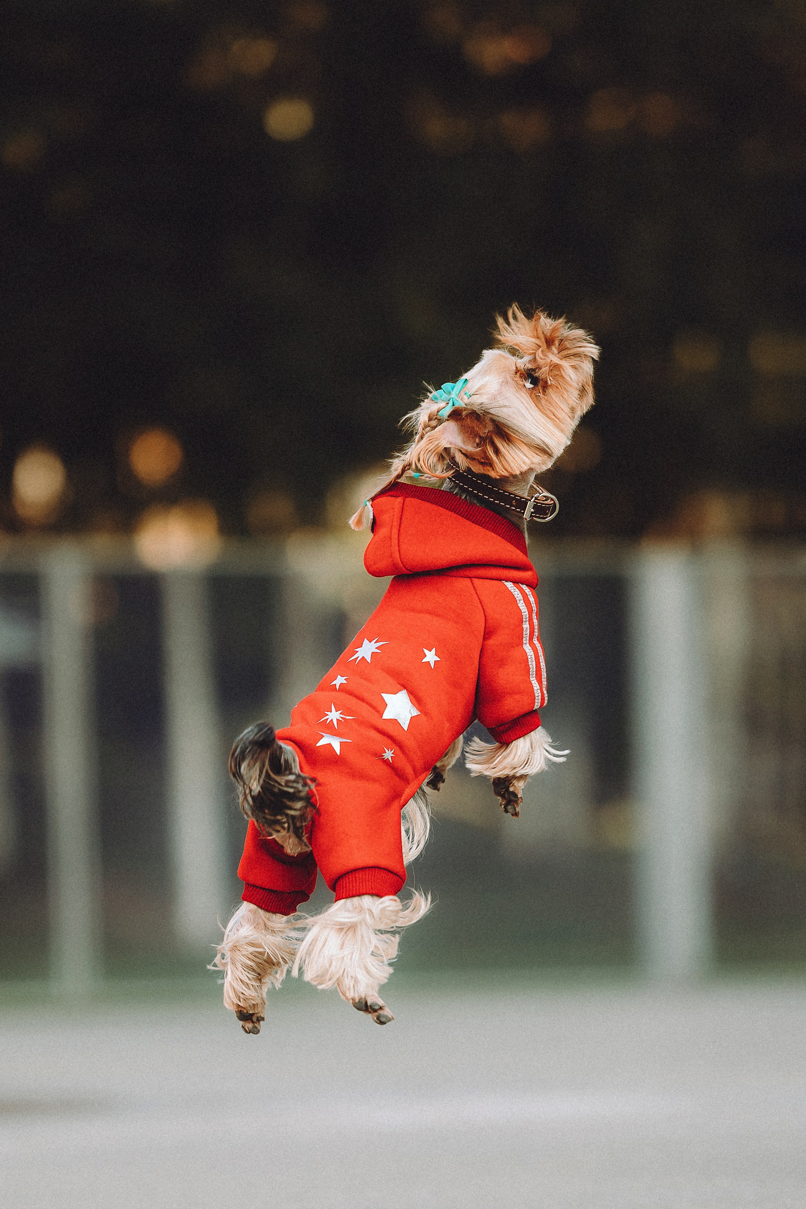 Дженни, Оливия и их семья