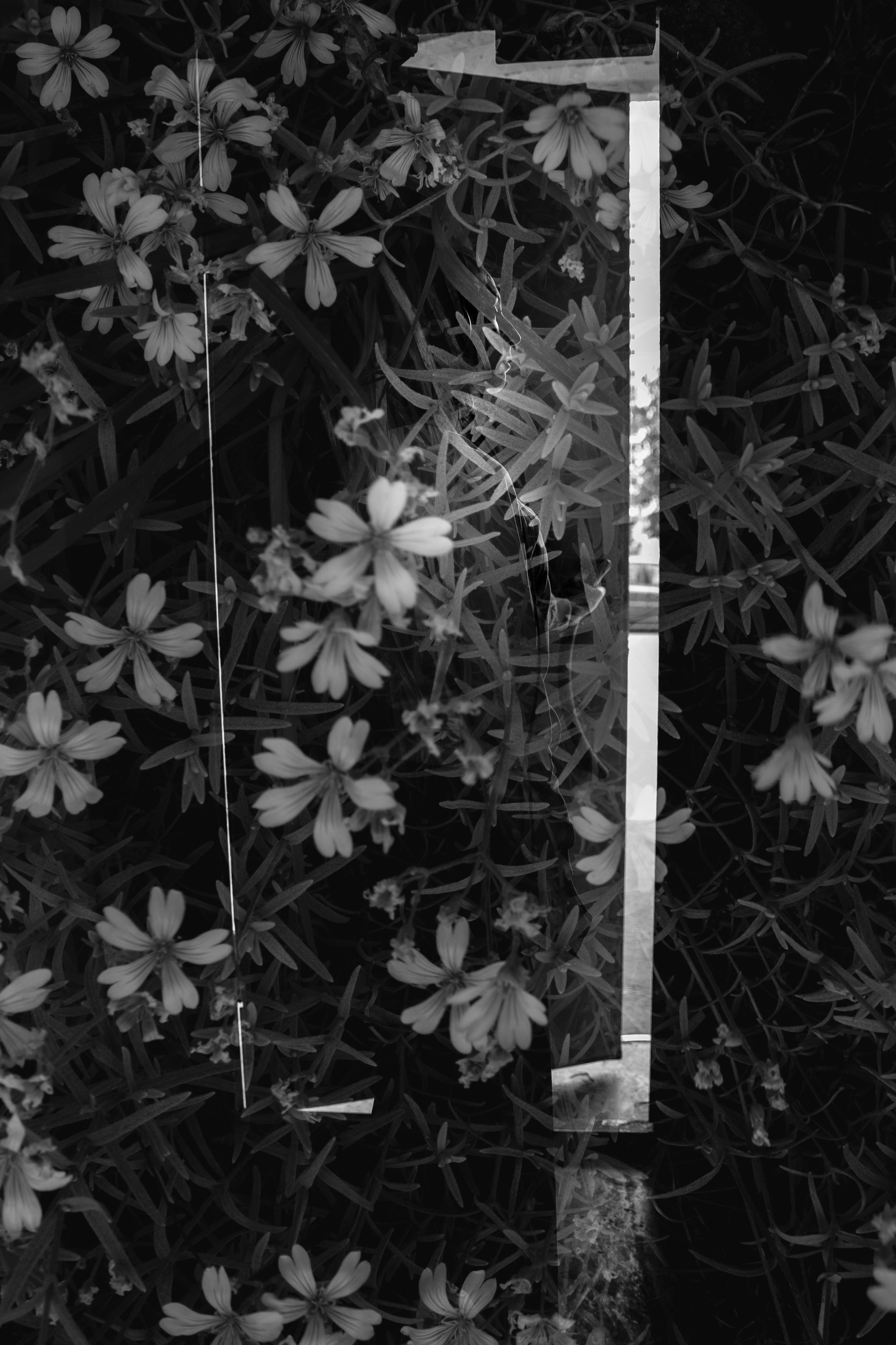 Алена. Творческий фотограф в Москве Наталья Ермолова