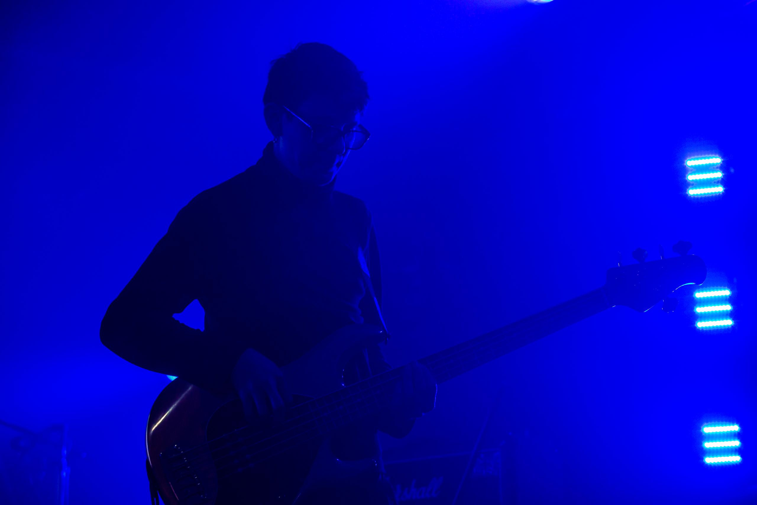 ШИВА (ЖИВОЙ). Фотограф Сонкина Татьяна